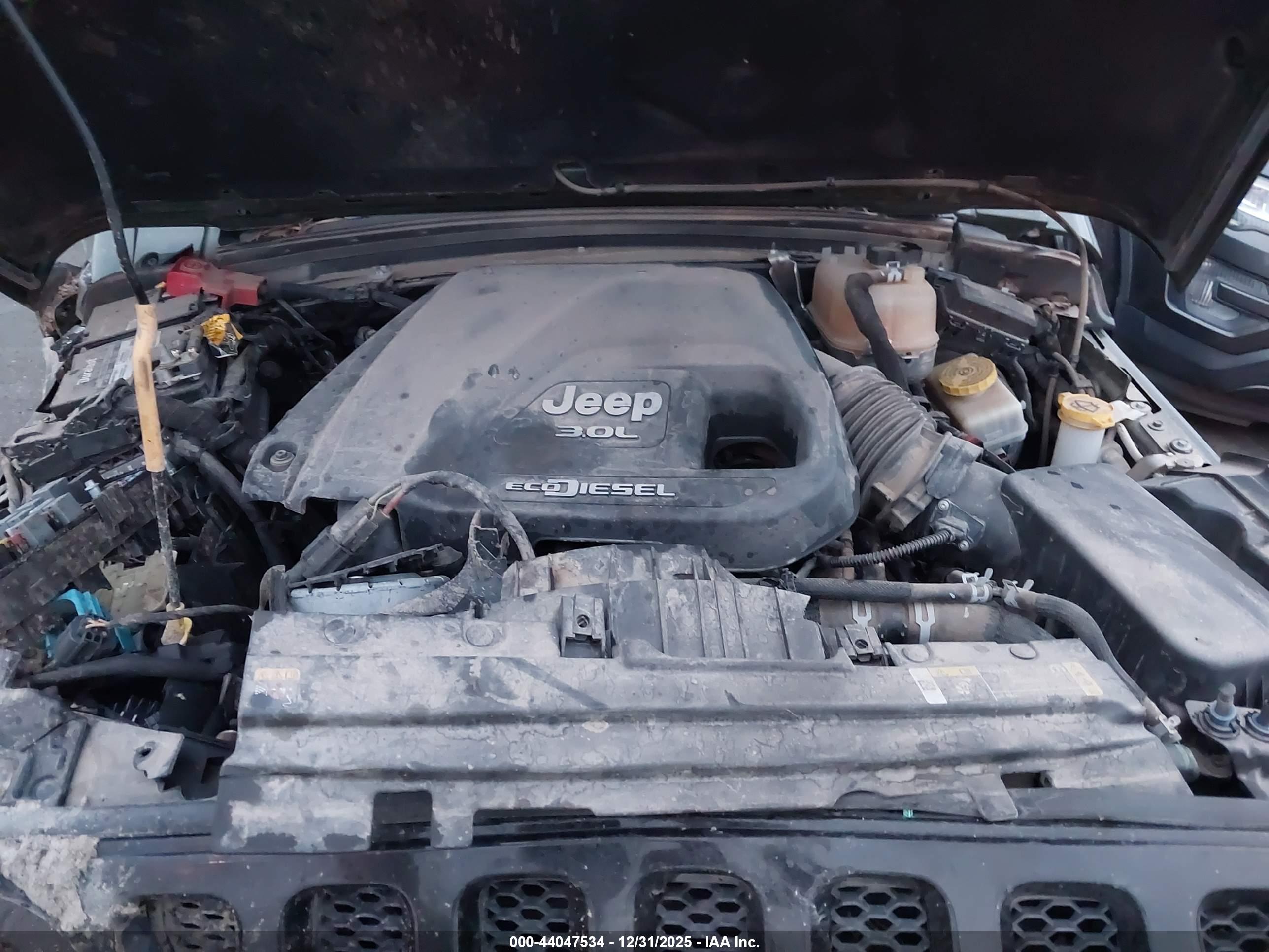 JEEP WRANGLER image 10