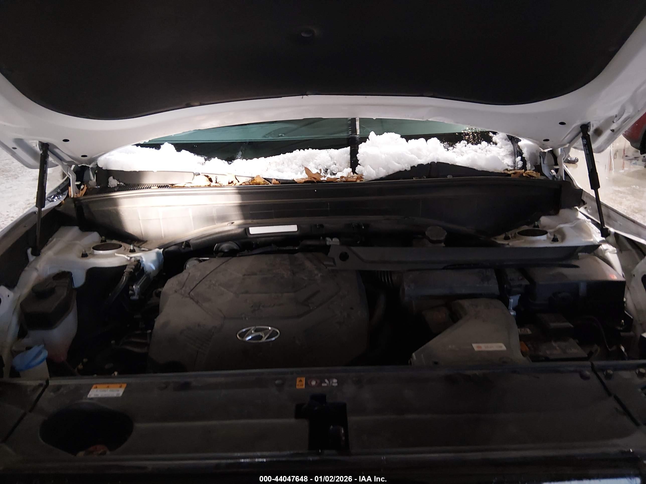 HYUNDAI PALISADE image 10