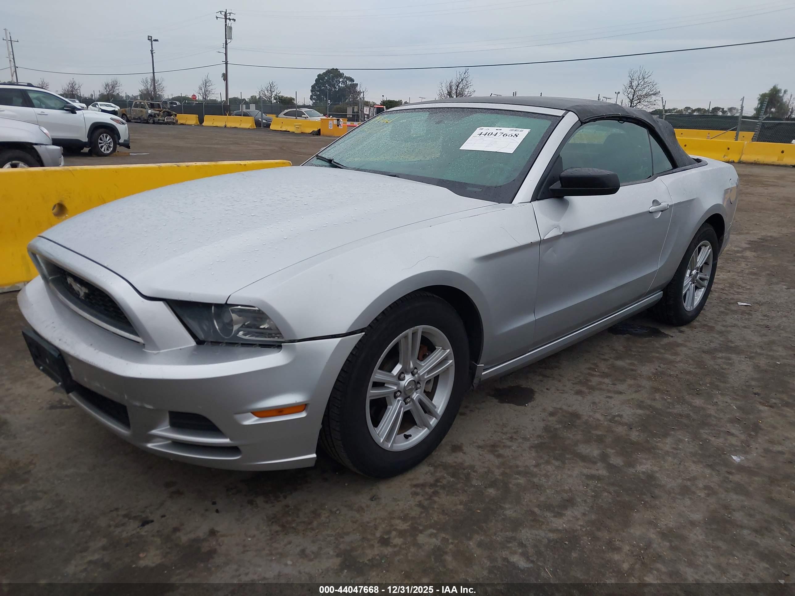 FORD MUSTANG image 2