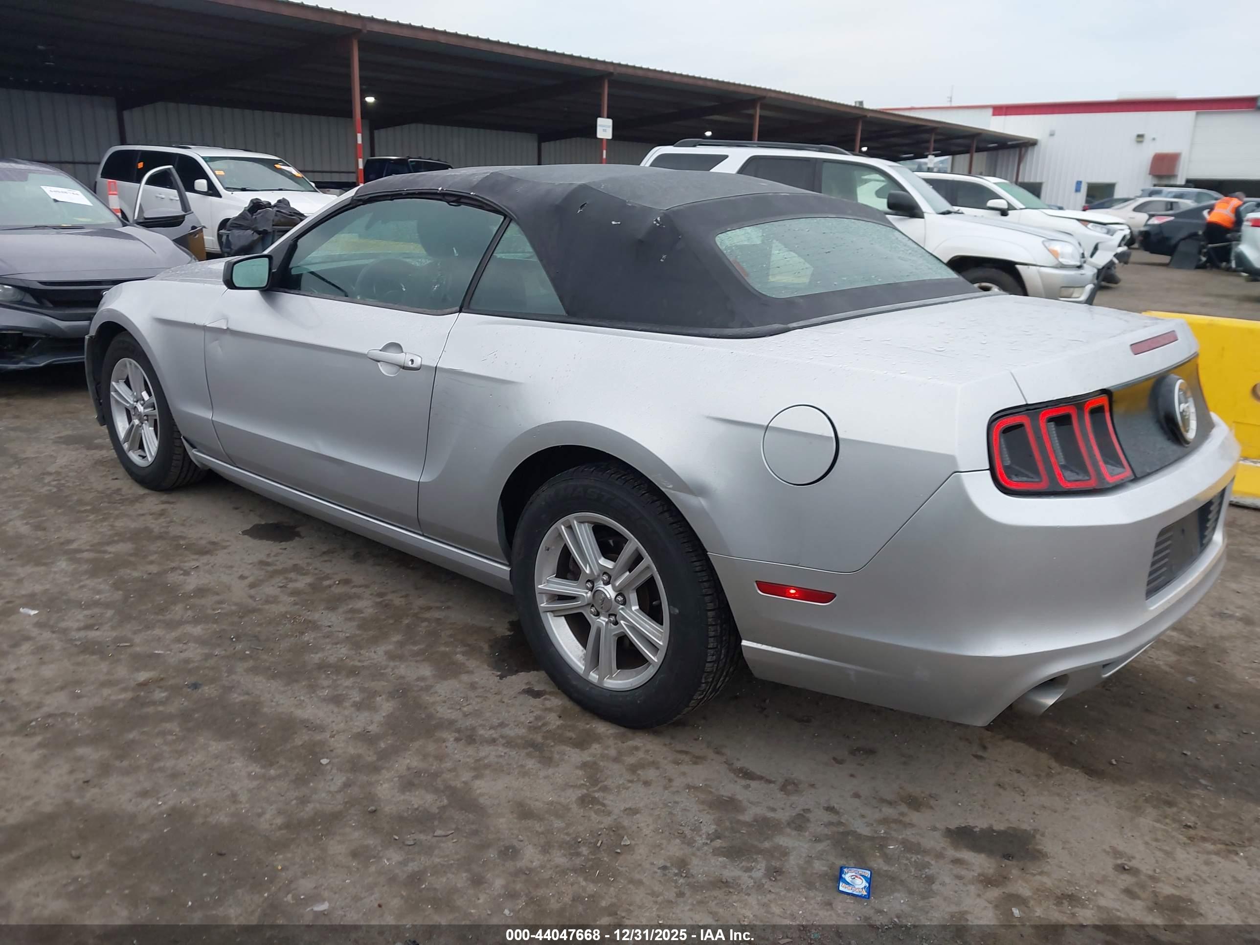 FORD MUSTANG image 3