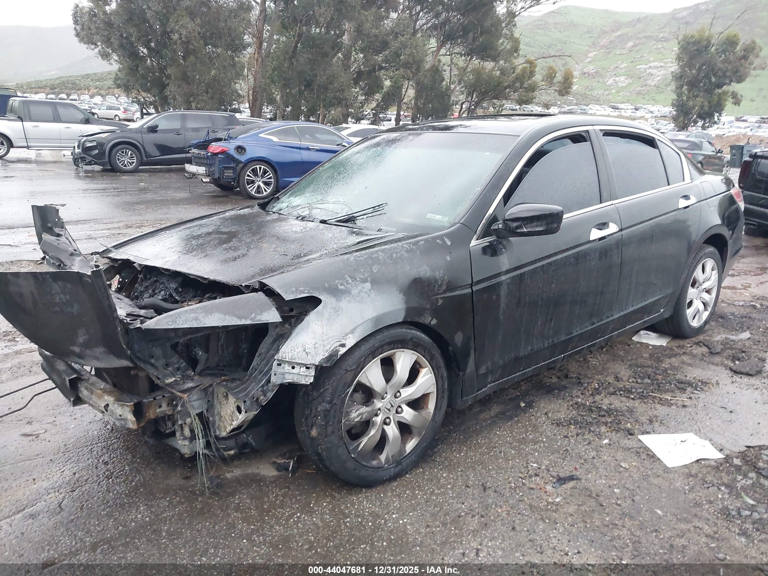 HONDA ACCORD image 2