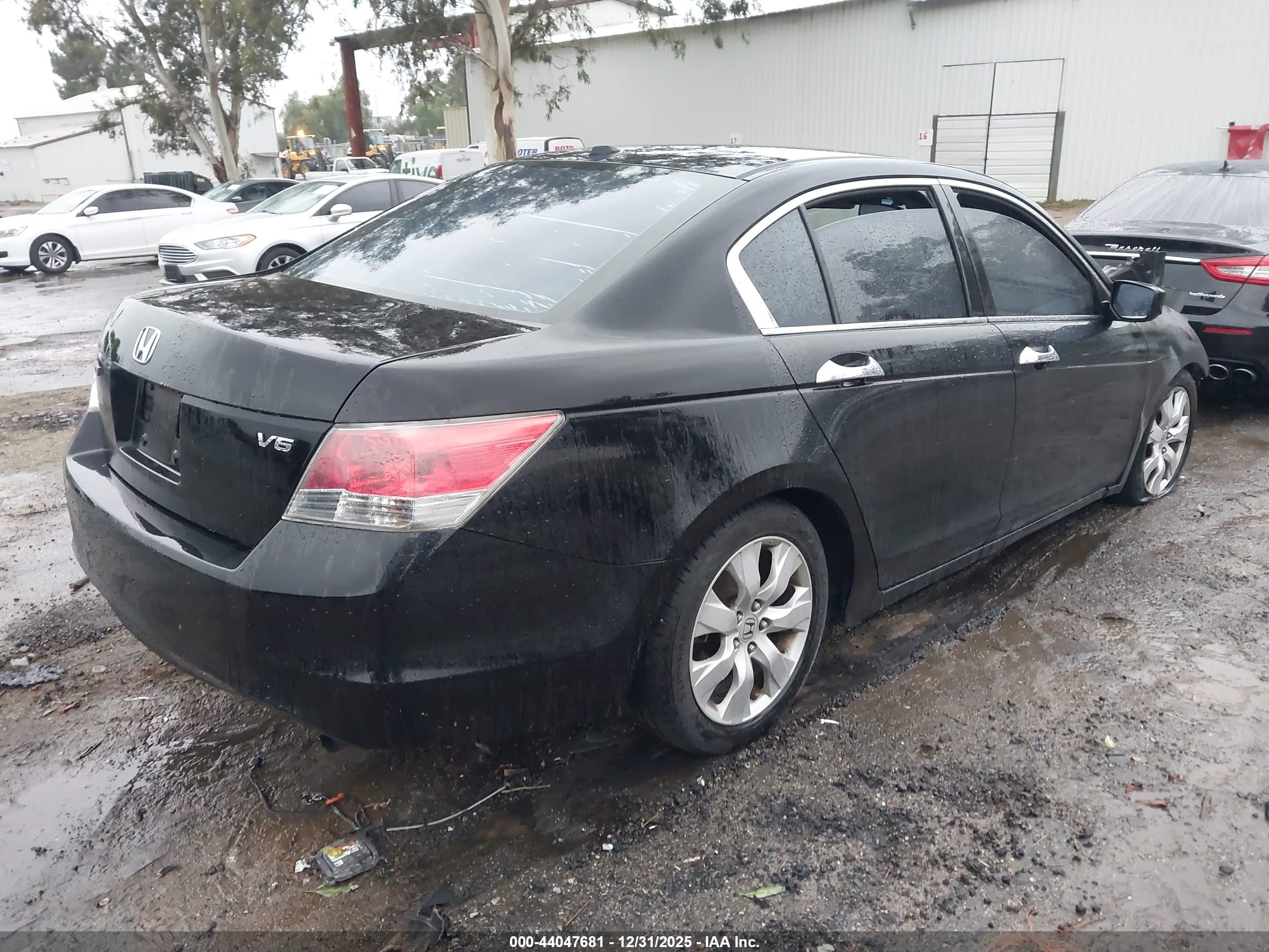 HONDA ACCORD image 4