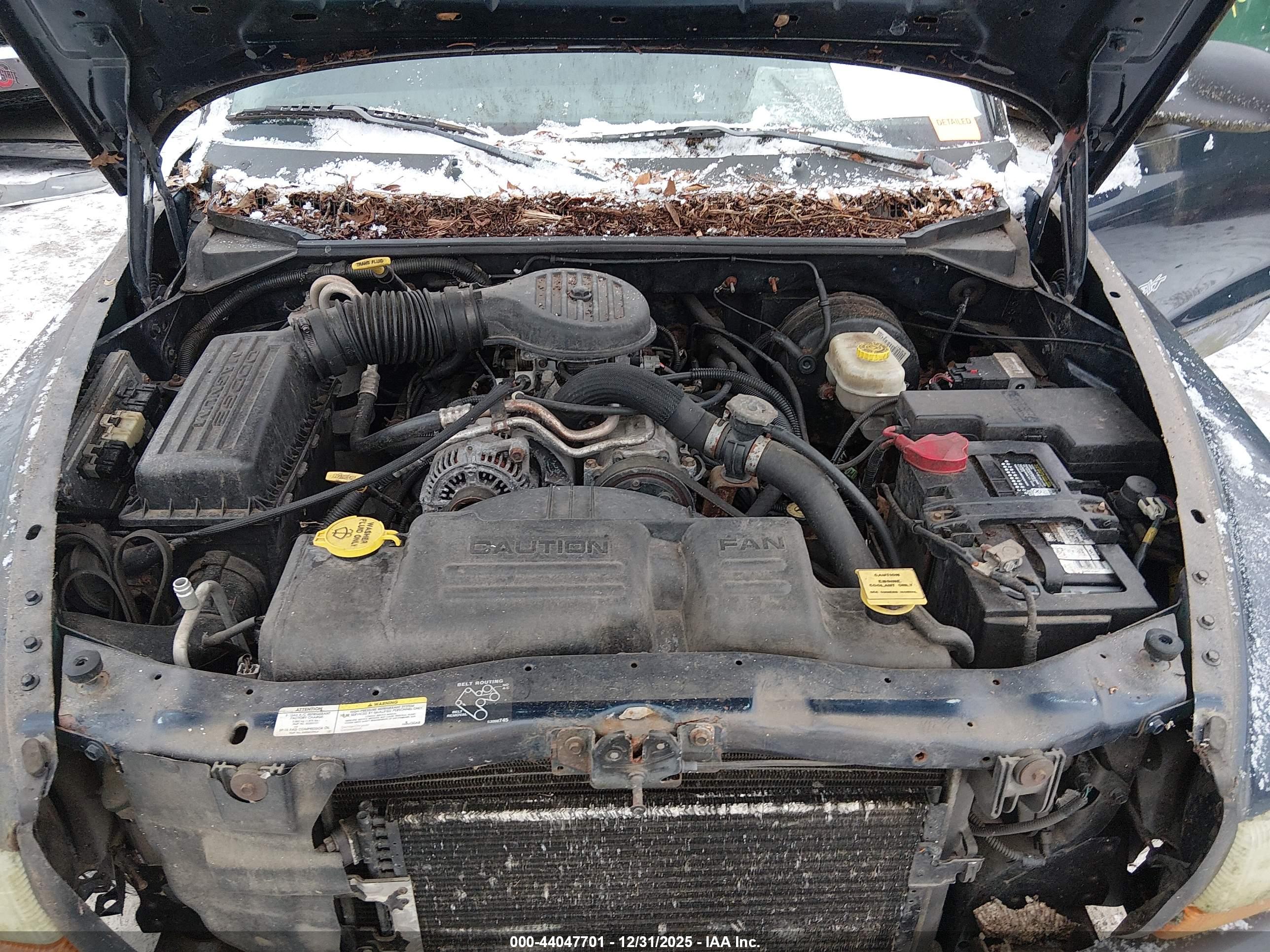 DODGE DAKOTA image 10