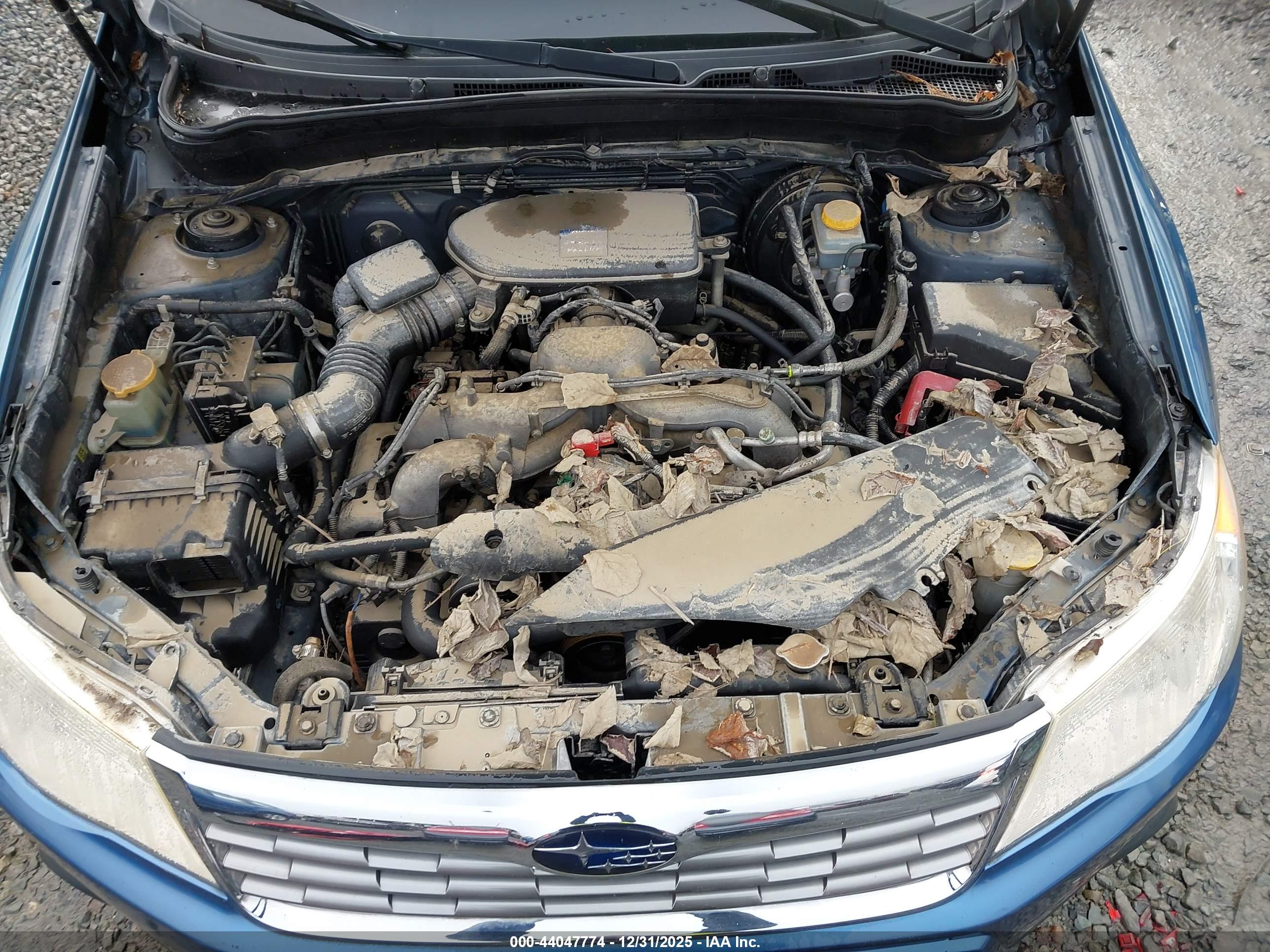 SUBARU FORESTER image 10
