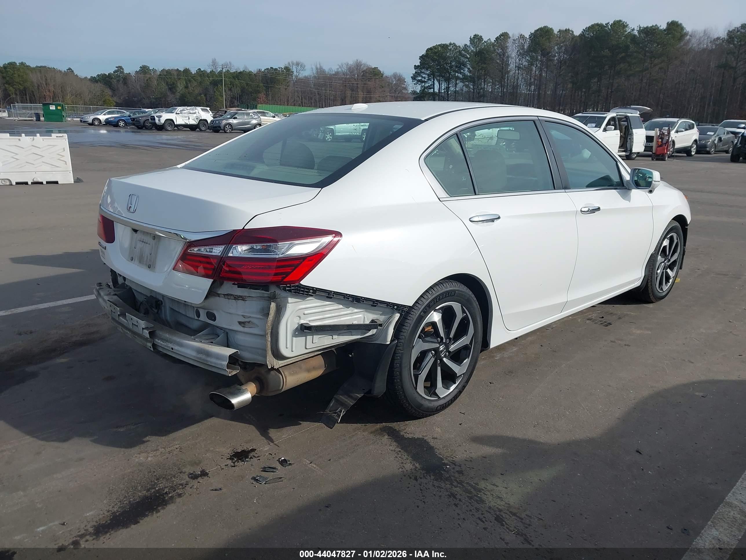 HONDA ACCORD image 4