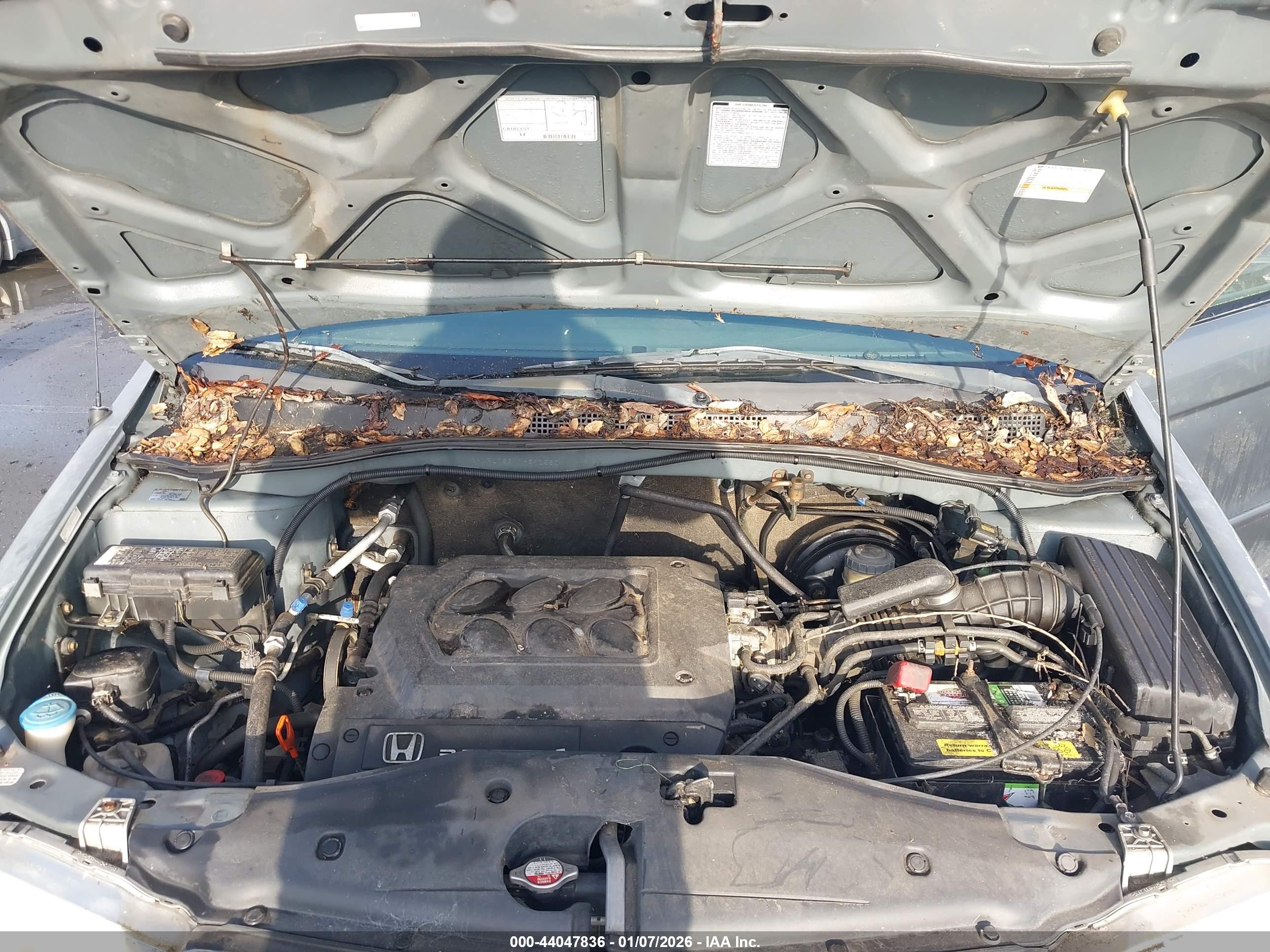 HONDA ODYSSEY image 10