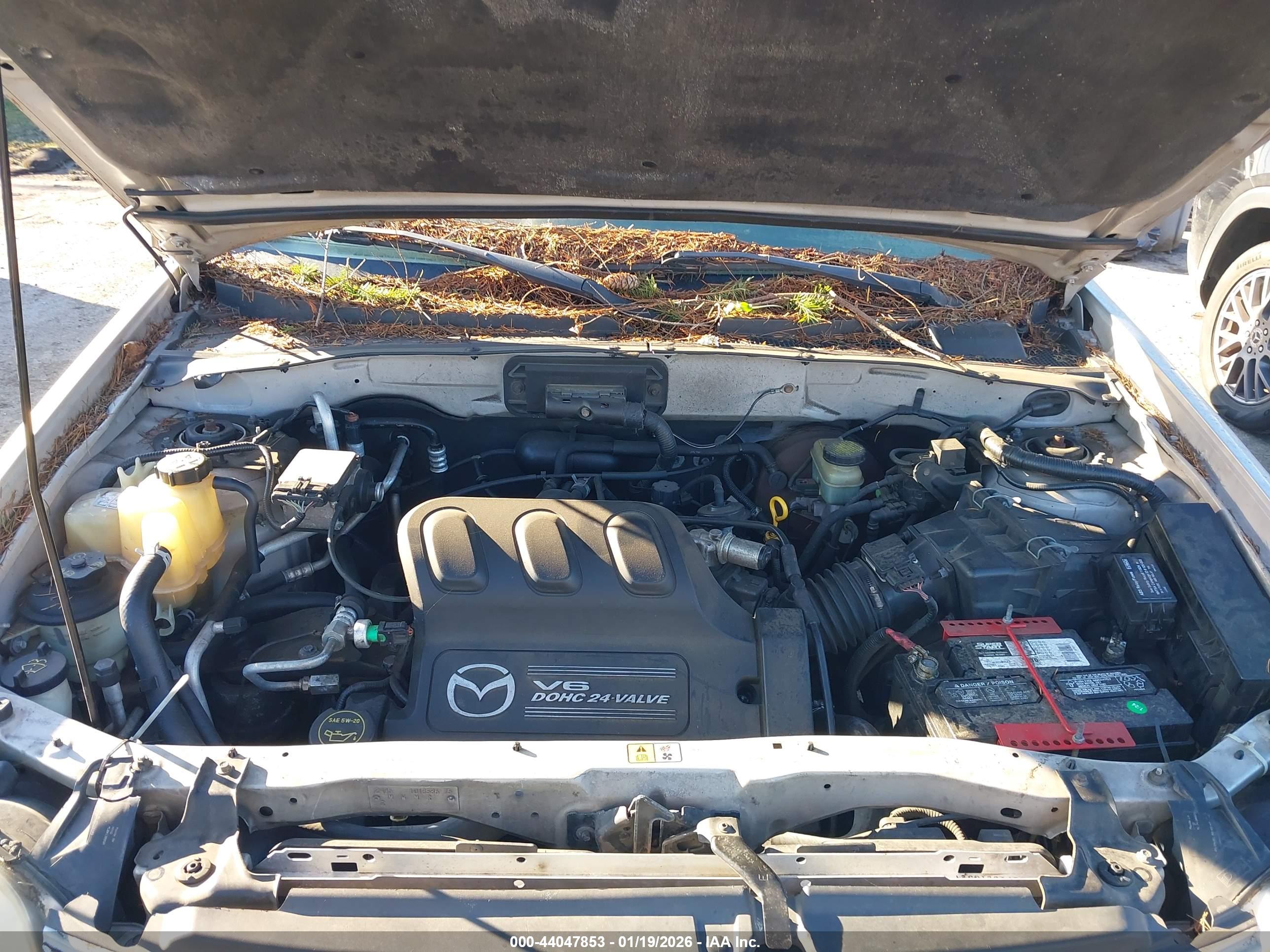 MAZDA TRIBUTE image 10
