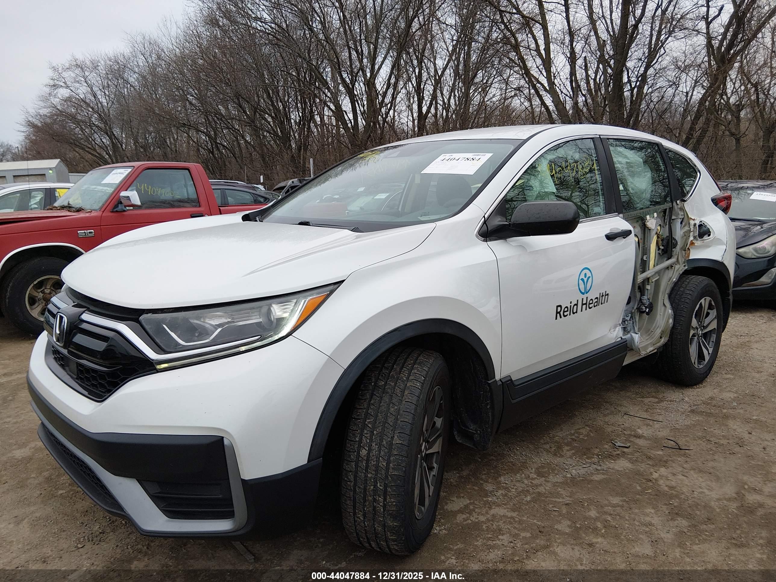 HONDA CR-V image 6