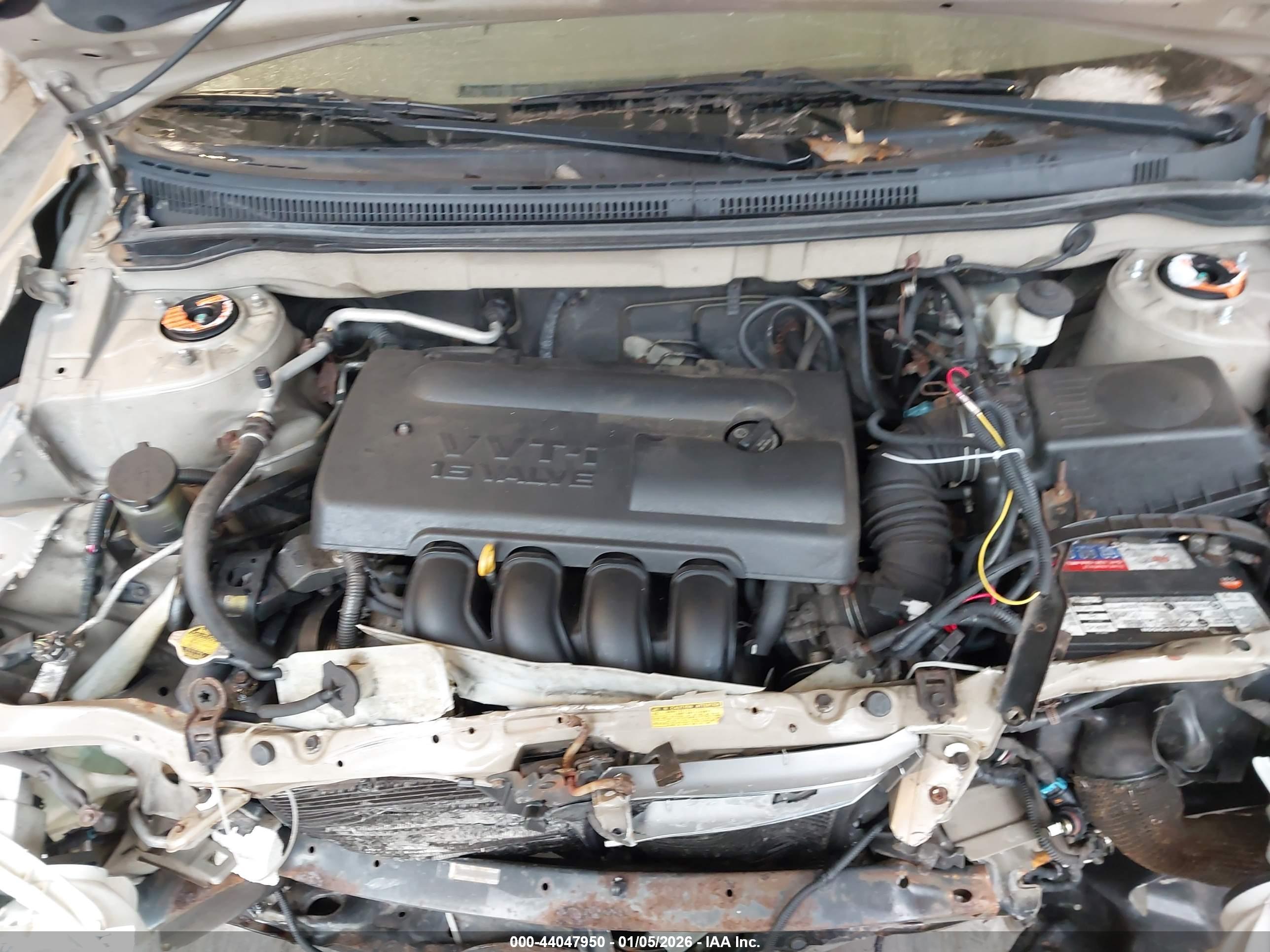 TOYOTA COROLLA image 10