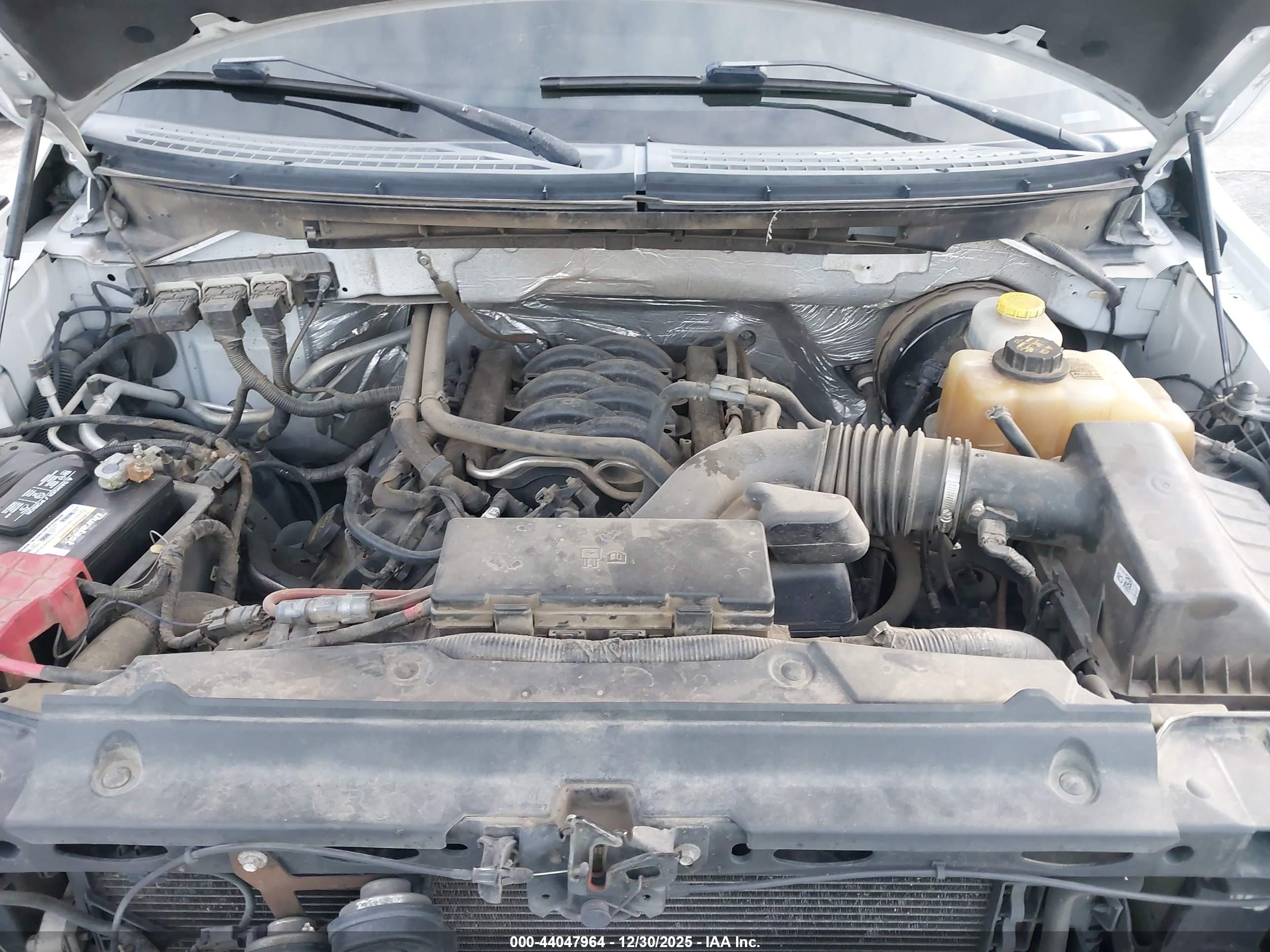 FORD F-150 image 10