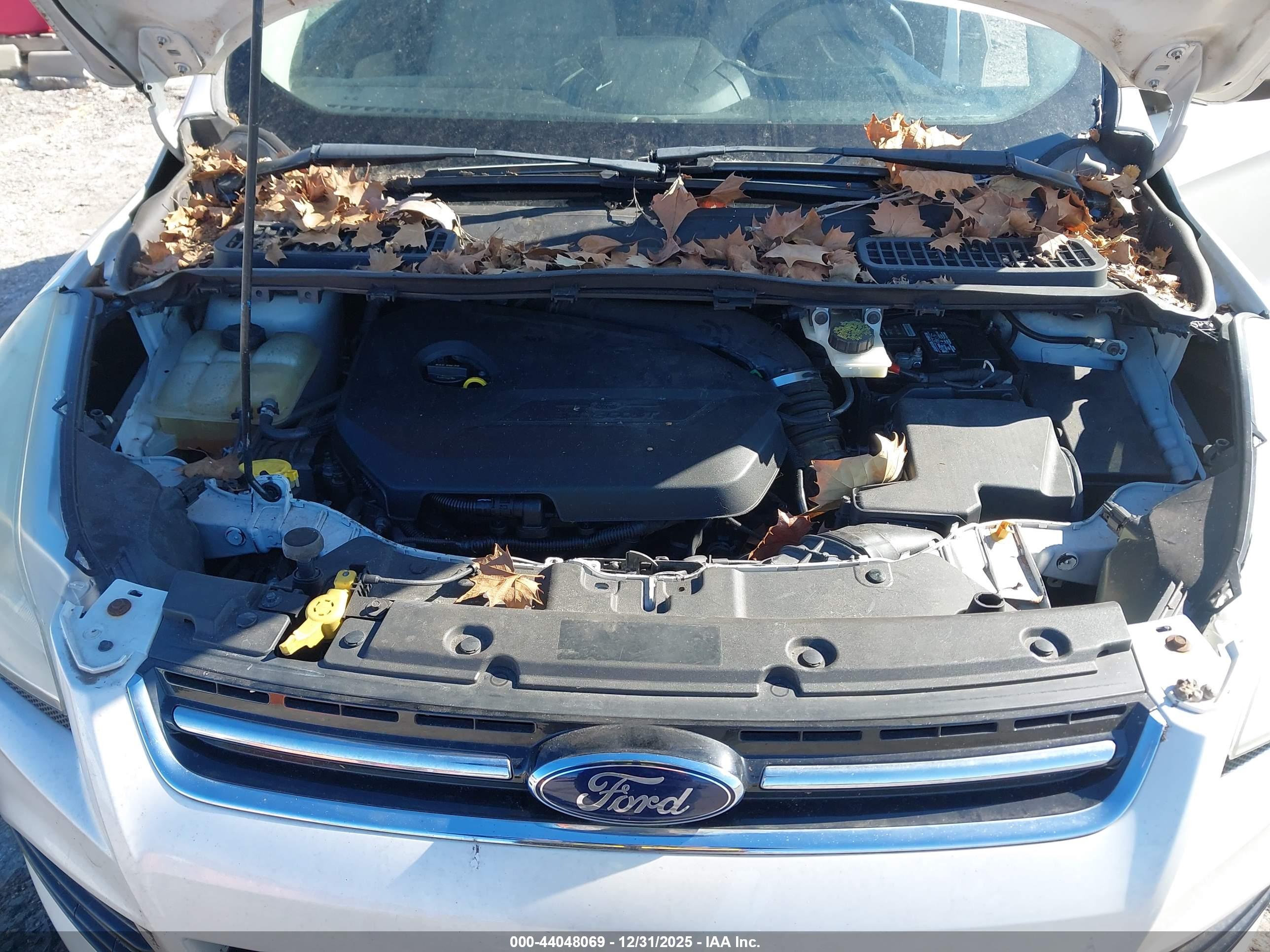 FORD ESCAPE image 10