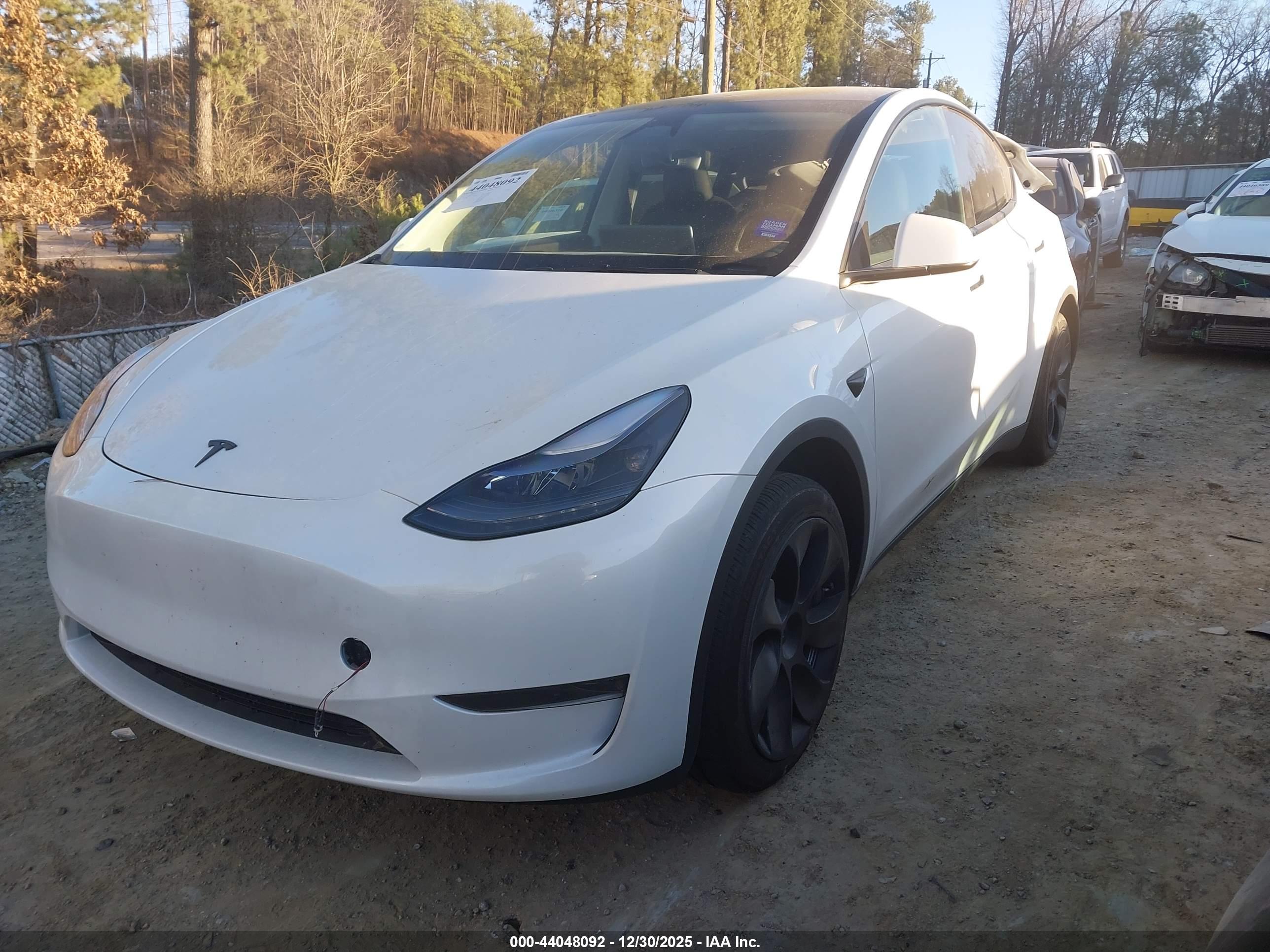 TESLA MODEL image 2