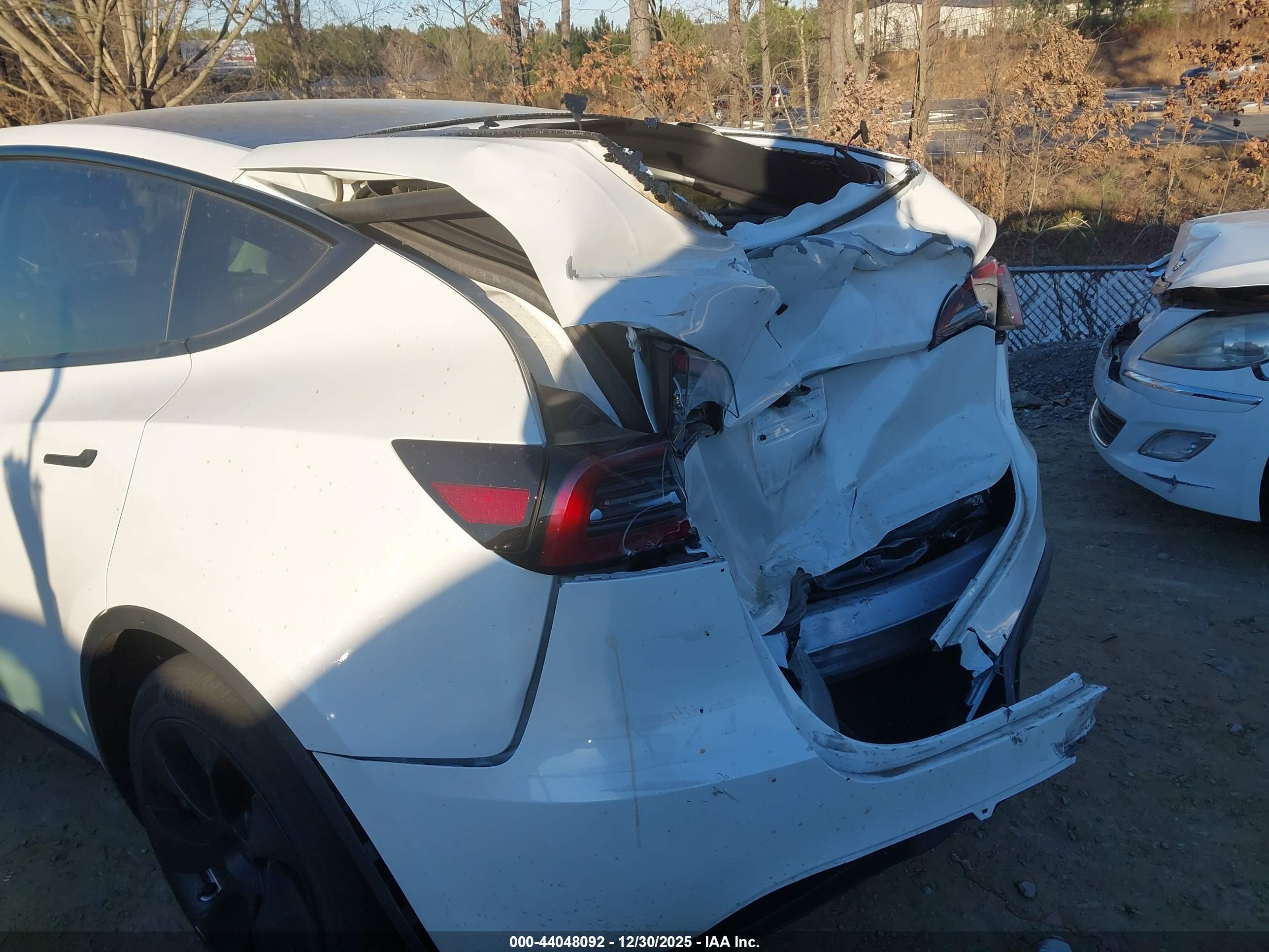 TESLA MODEL image 6