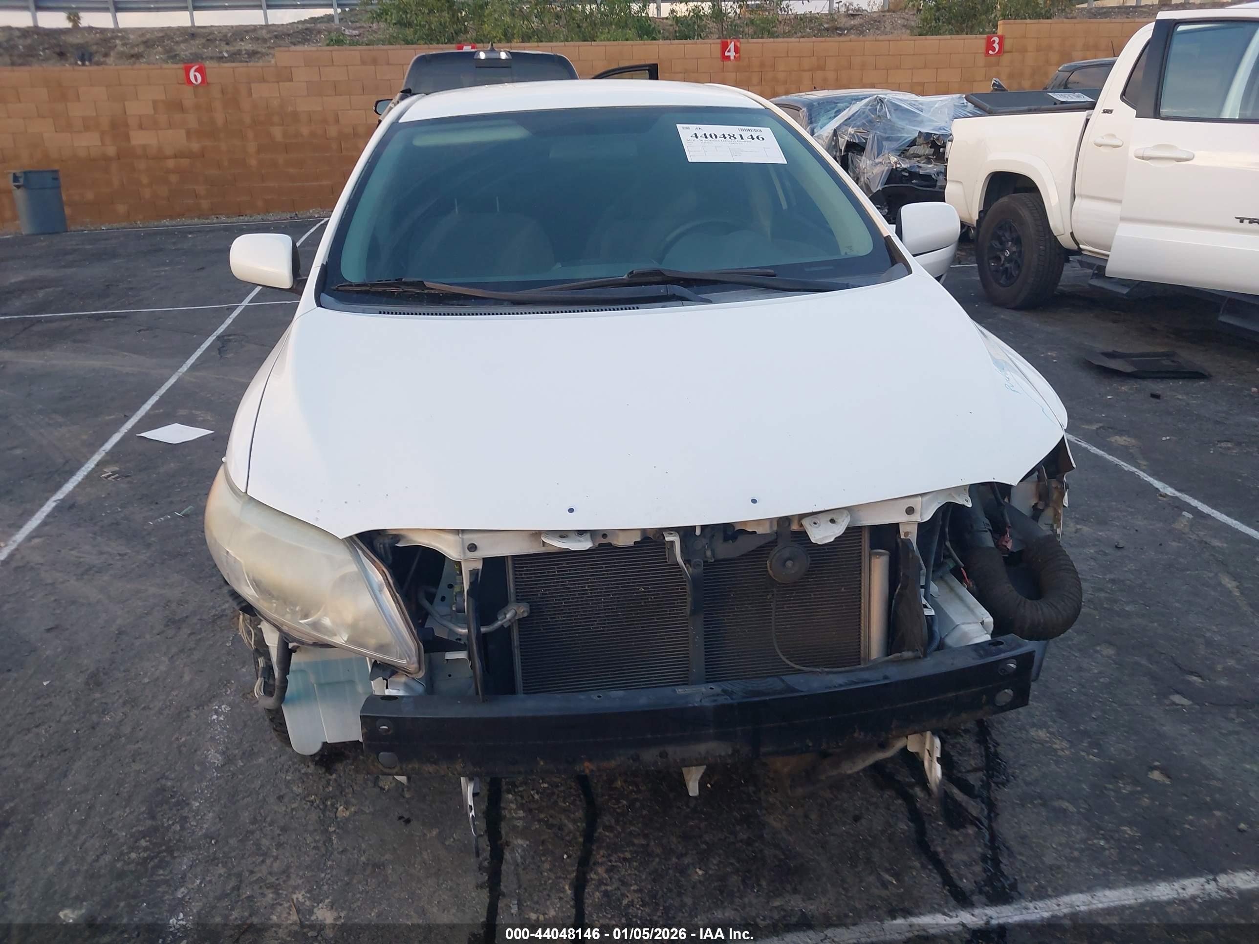 TOYOTA COROLLA image 6