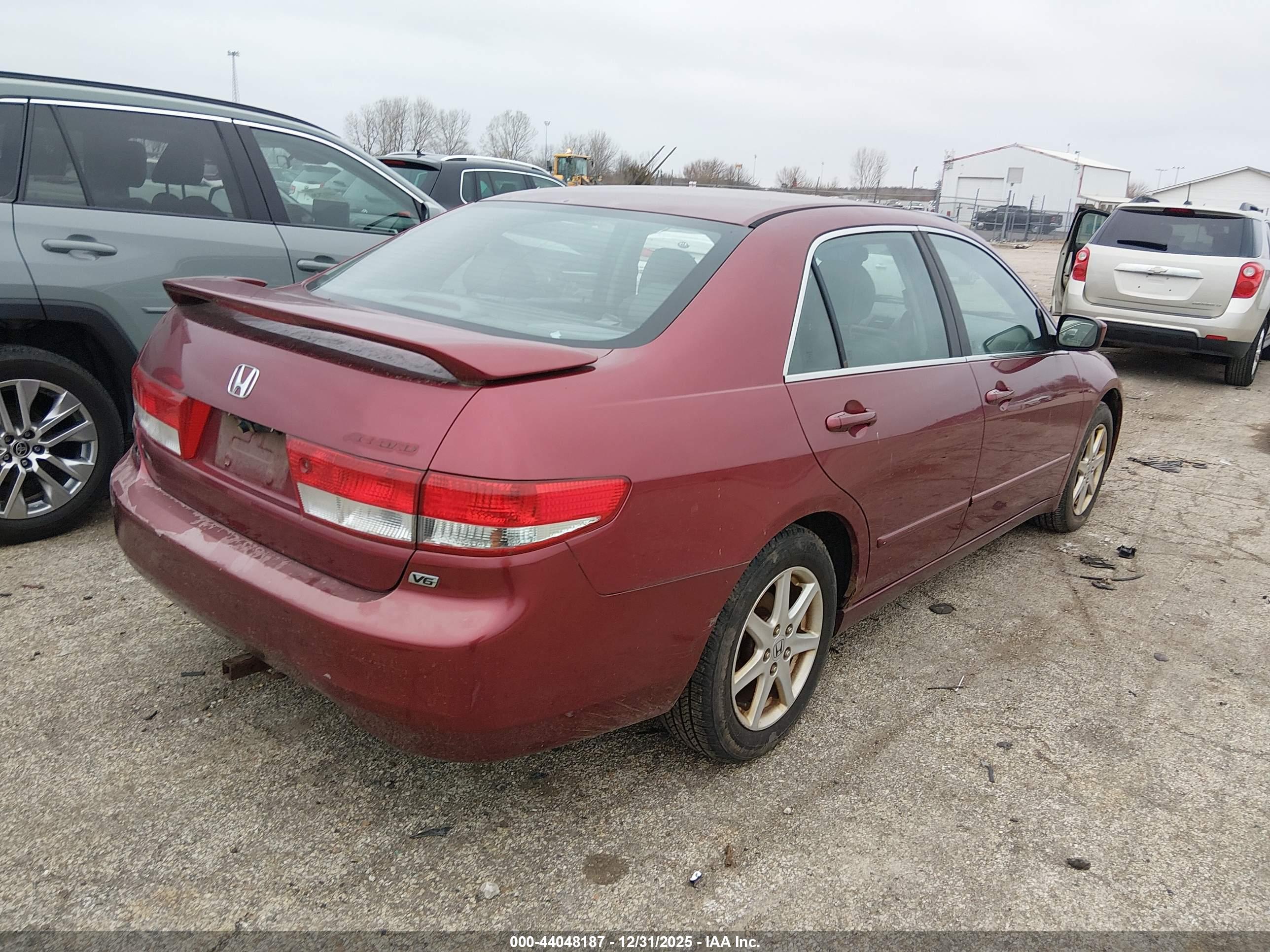 HONDA ACCORD image 4