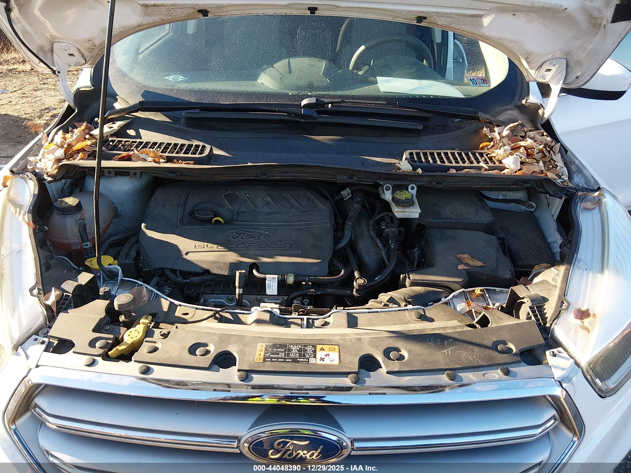 FORD ESCAPE image 10