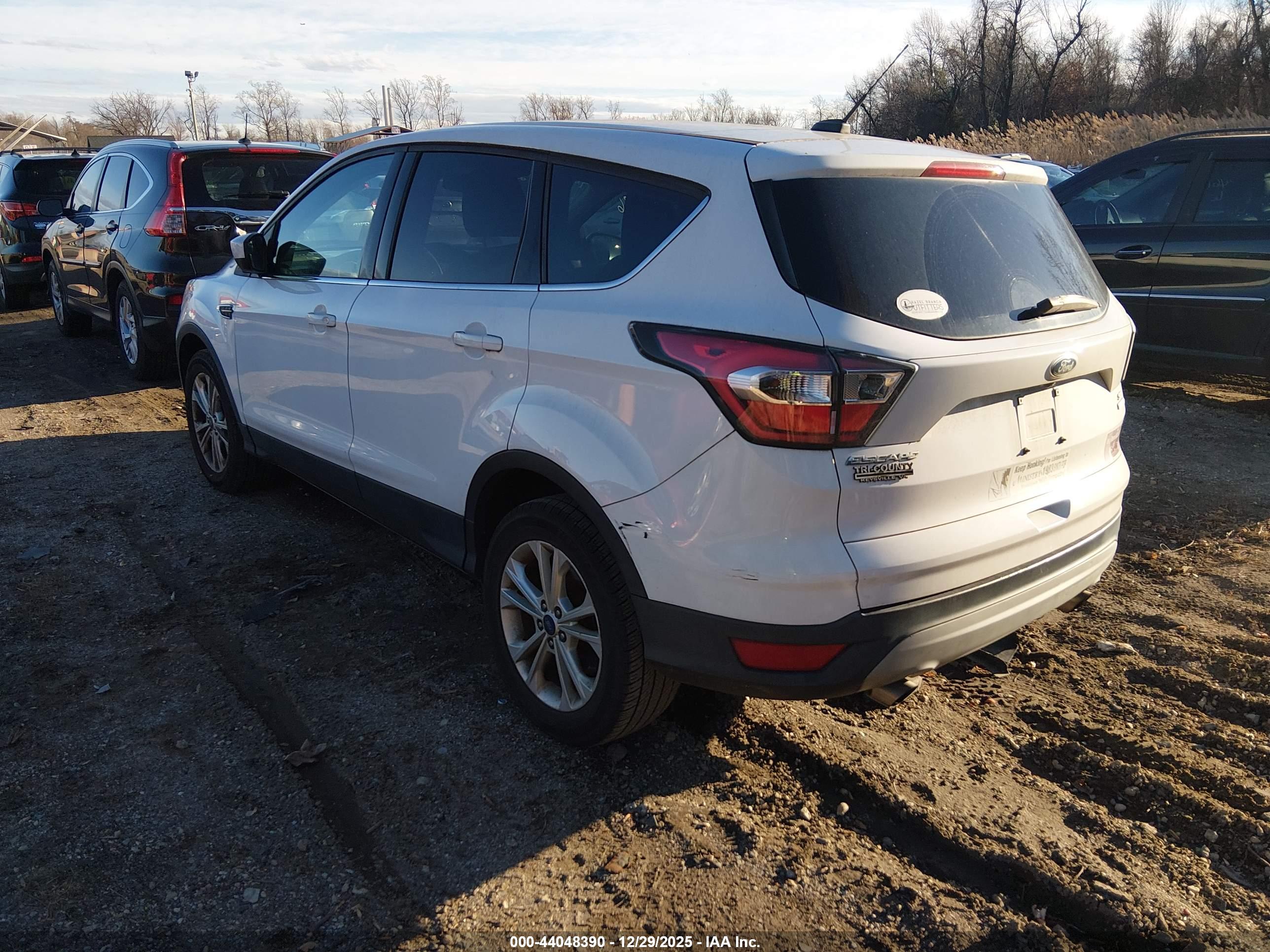 FORD ESCAPE image 3