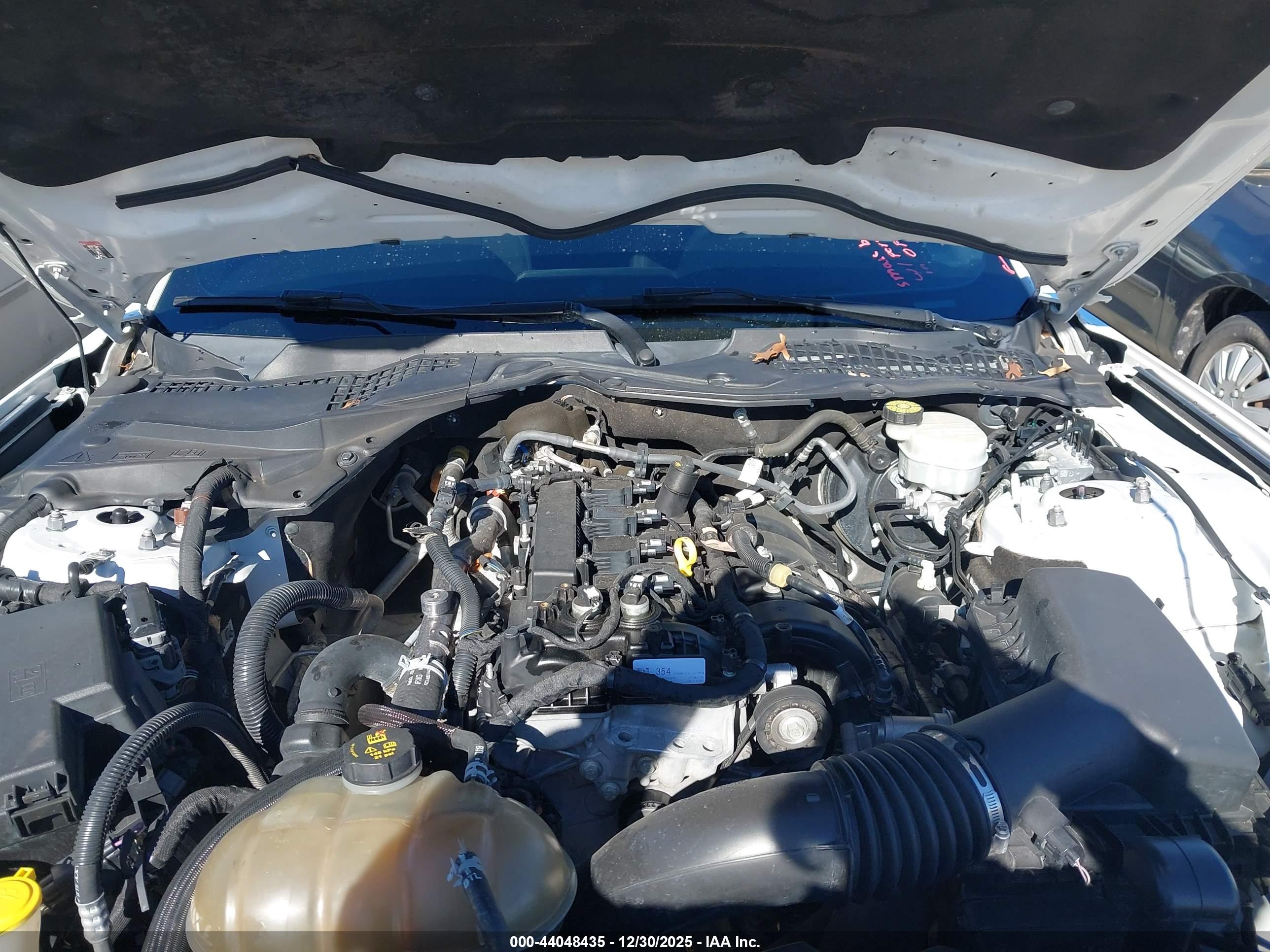 FORD MUSTANG image 10
