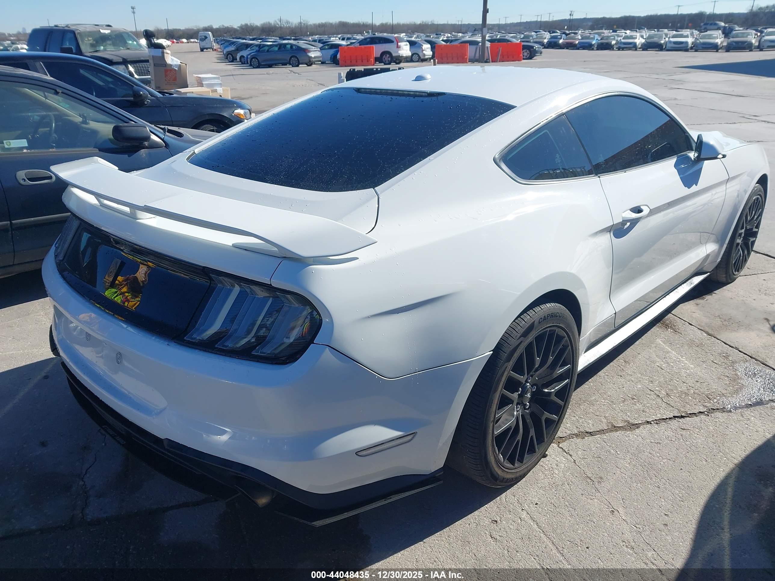 FORD MUSTANG image 4