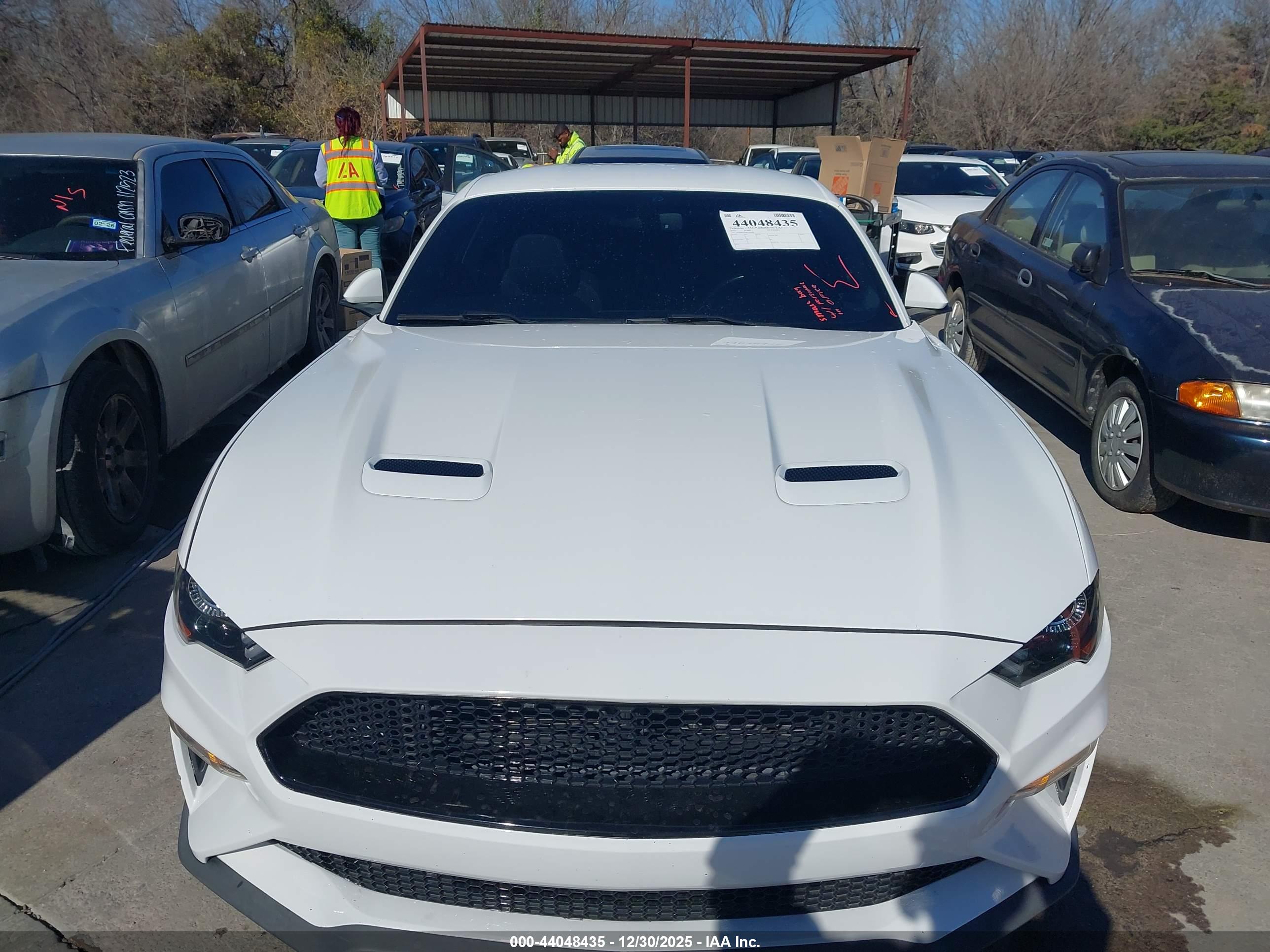 FORD MUSTANG image 6