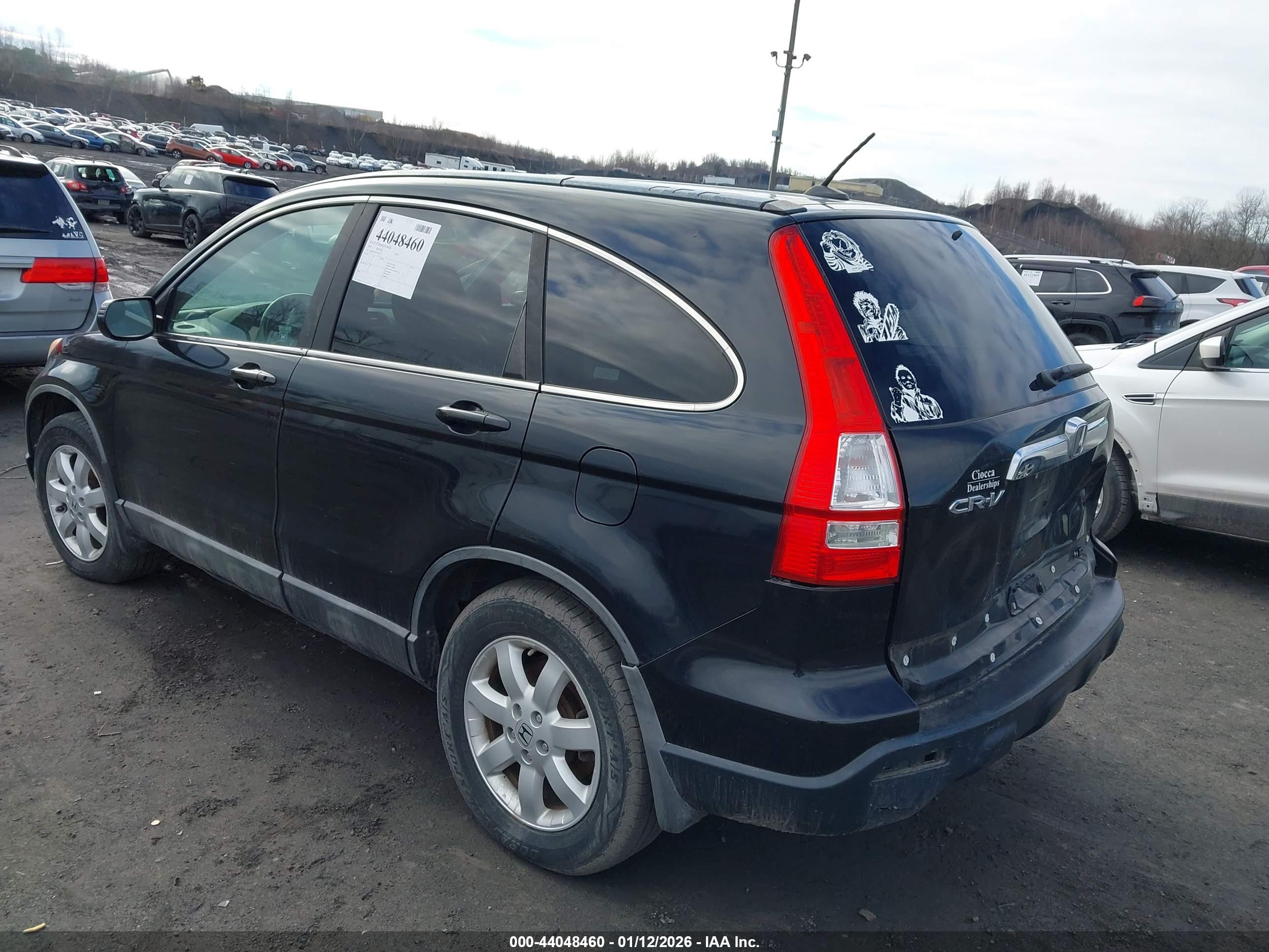 HONDA CR-V image 3