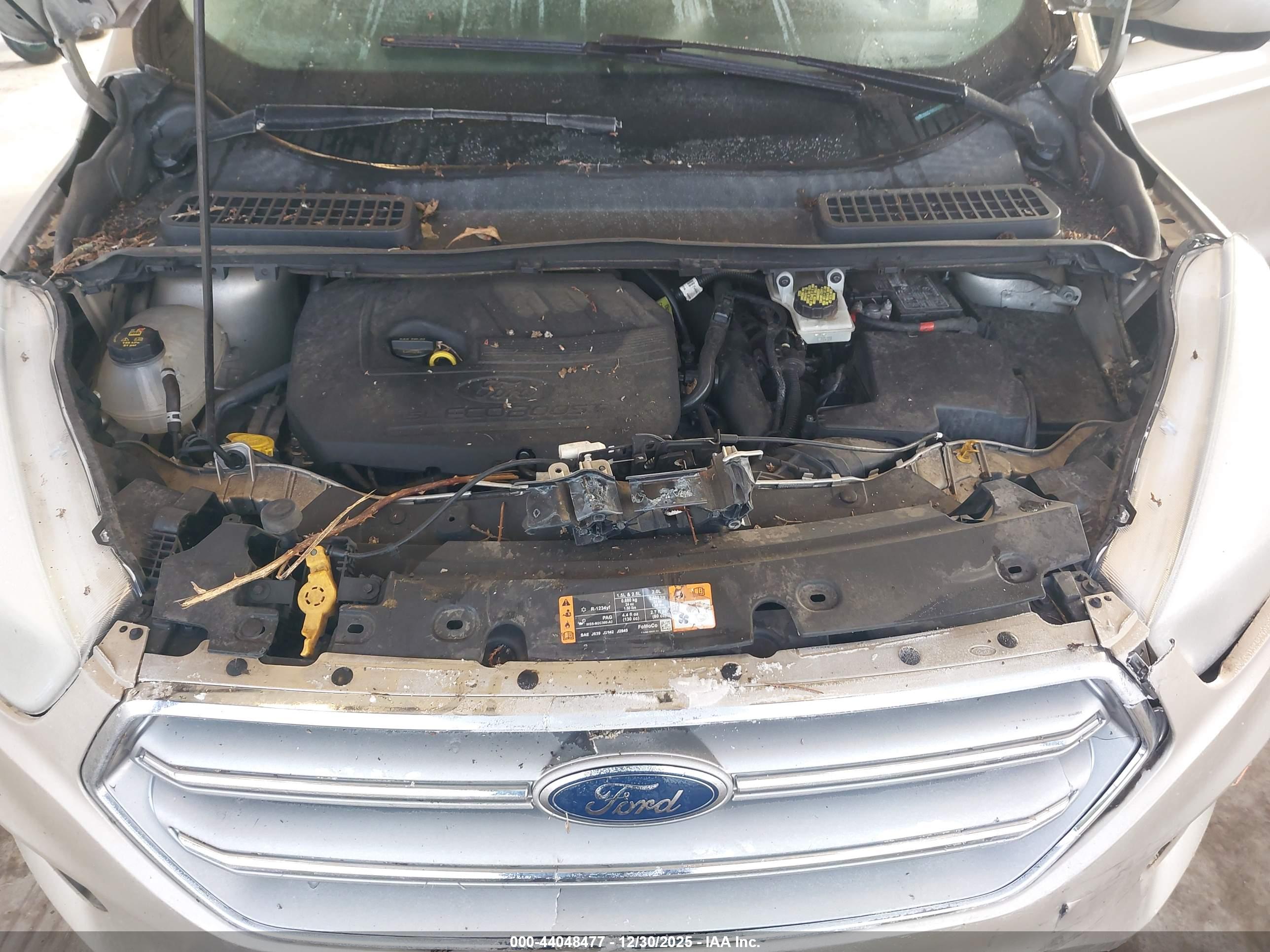 FORD ESCAPE image 10