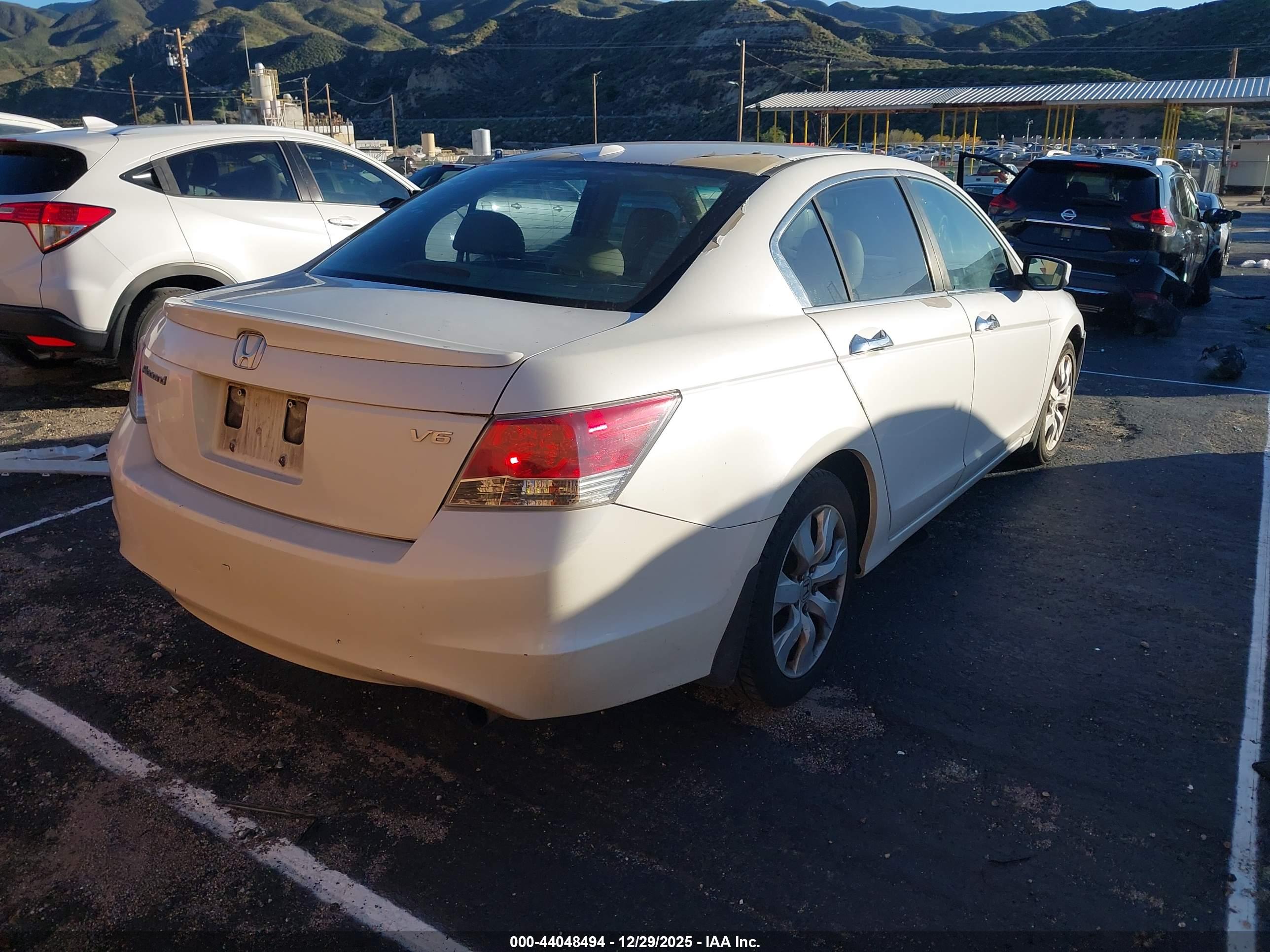 HONDA ACCORD image 4