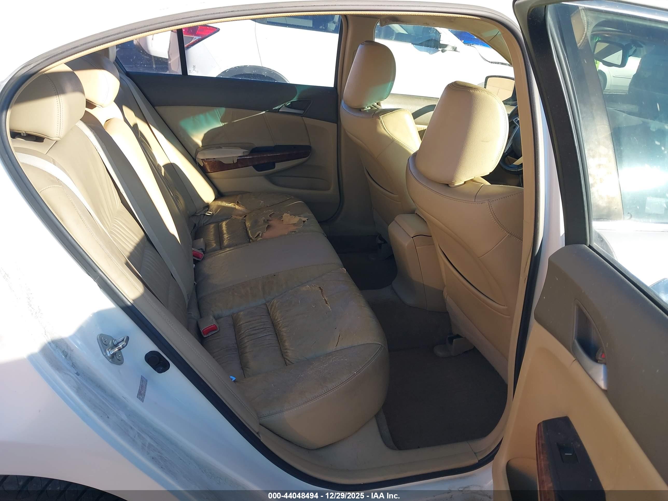 HONDA ACCORD image 8