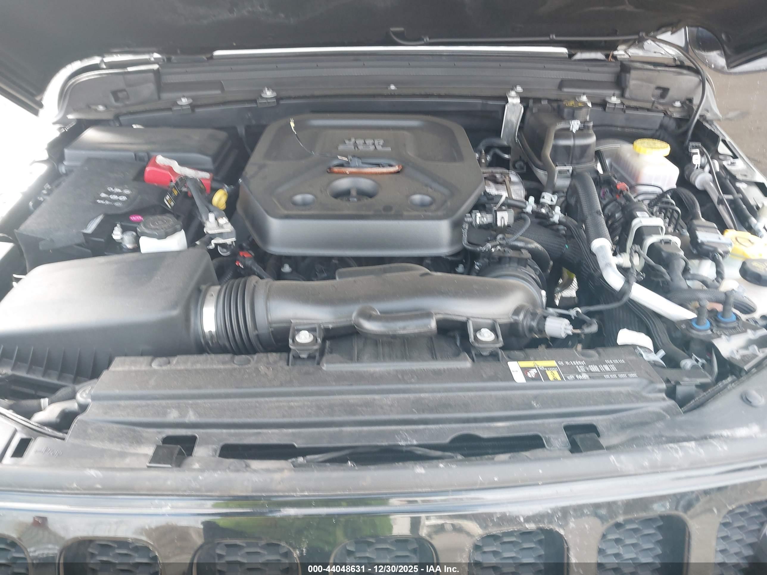 JEEP WRANGLER image 10