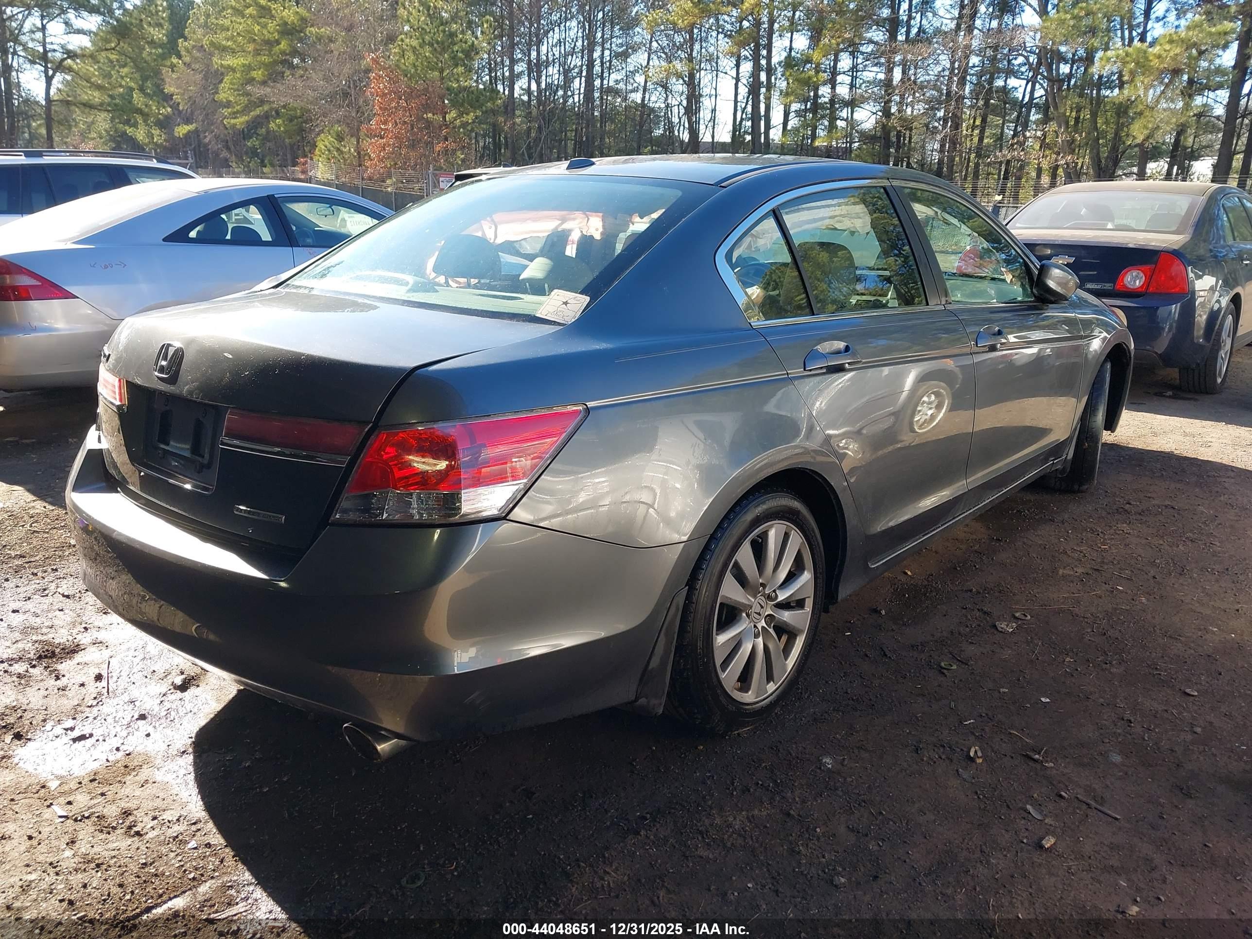 HONDA ACCORD image 4
