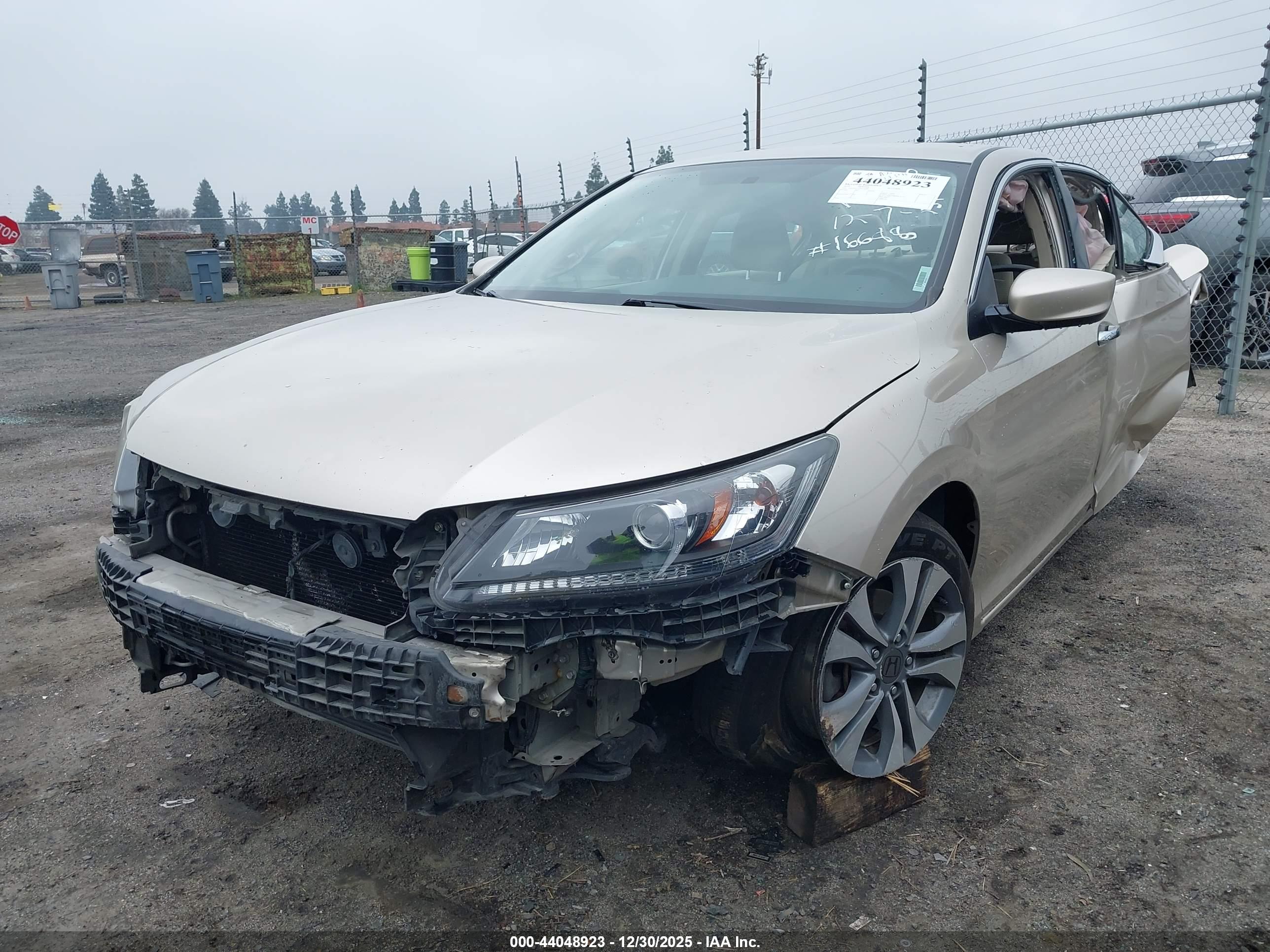 HONDA ACCORD image 2