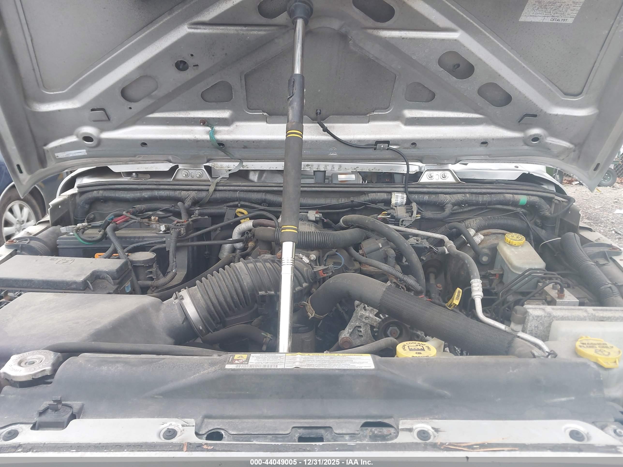 JEEP WRANGLER image 10