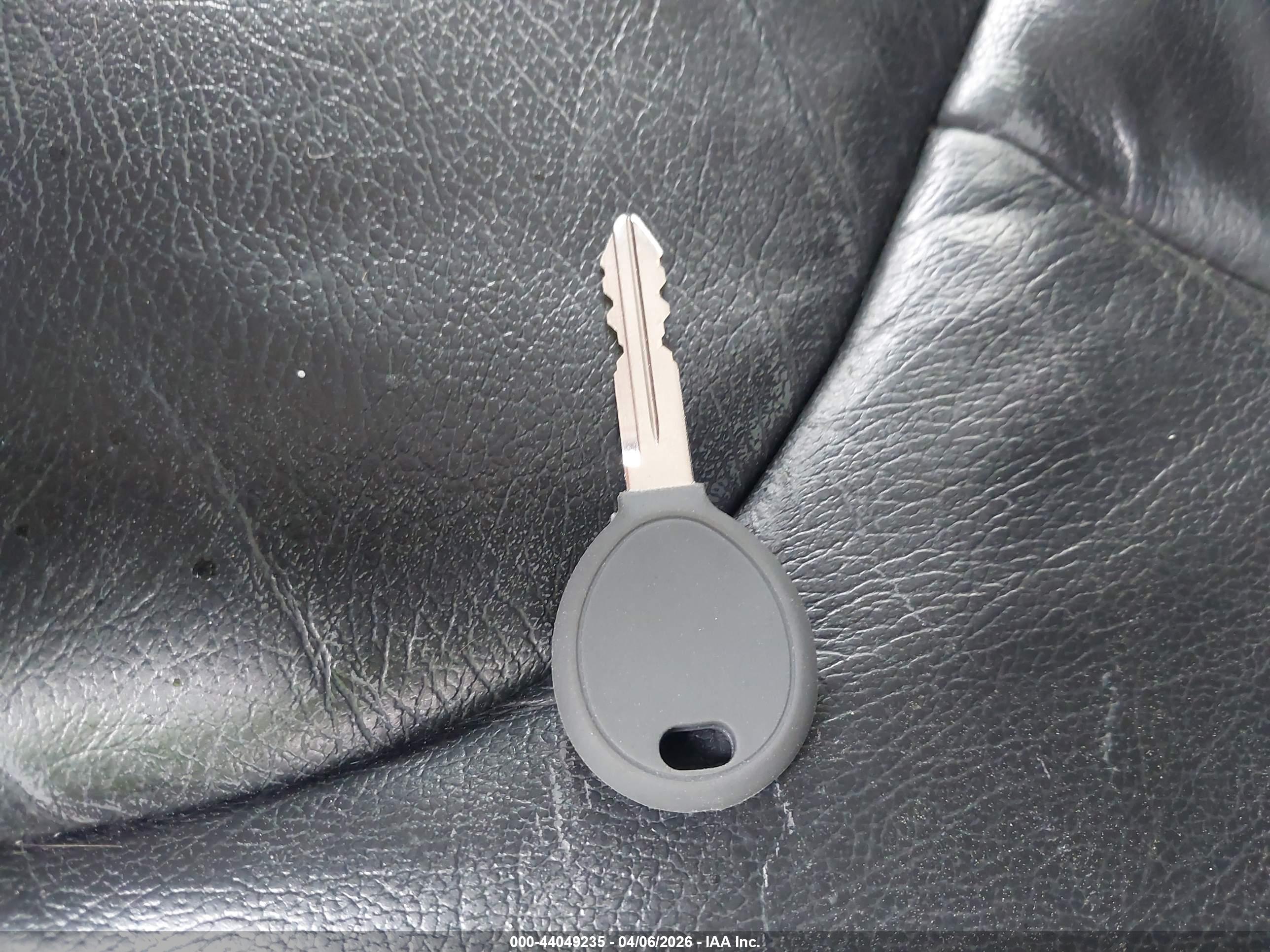 JEEP WRANGLER image 11