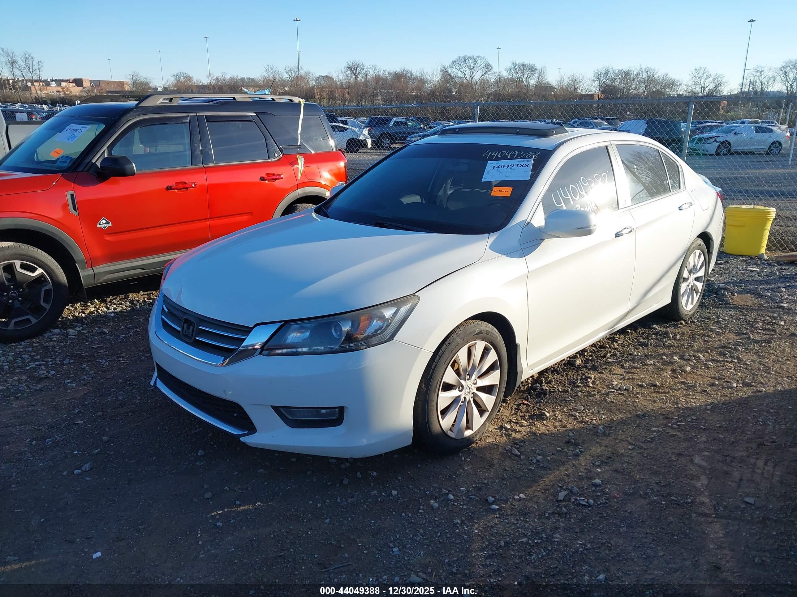 HONDA ACCORD image 2
