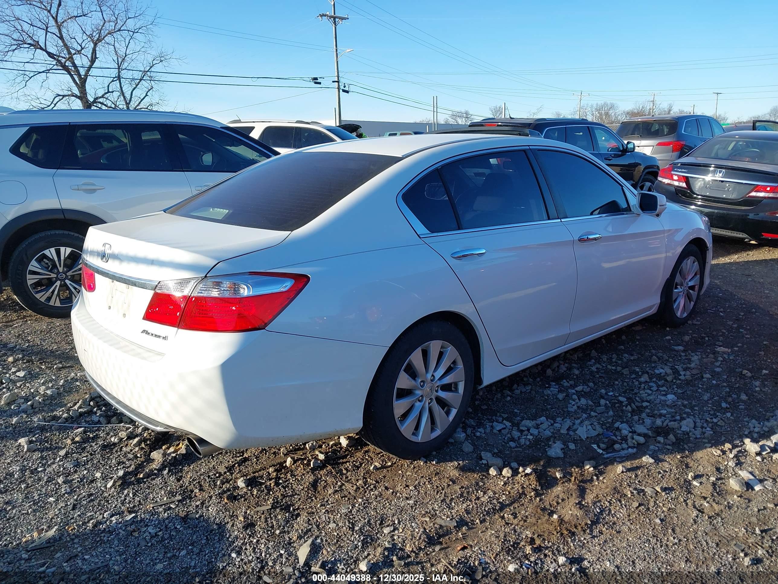 HONDA ACCORD image 4