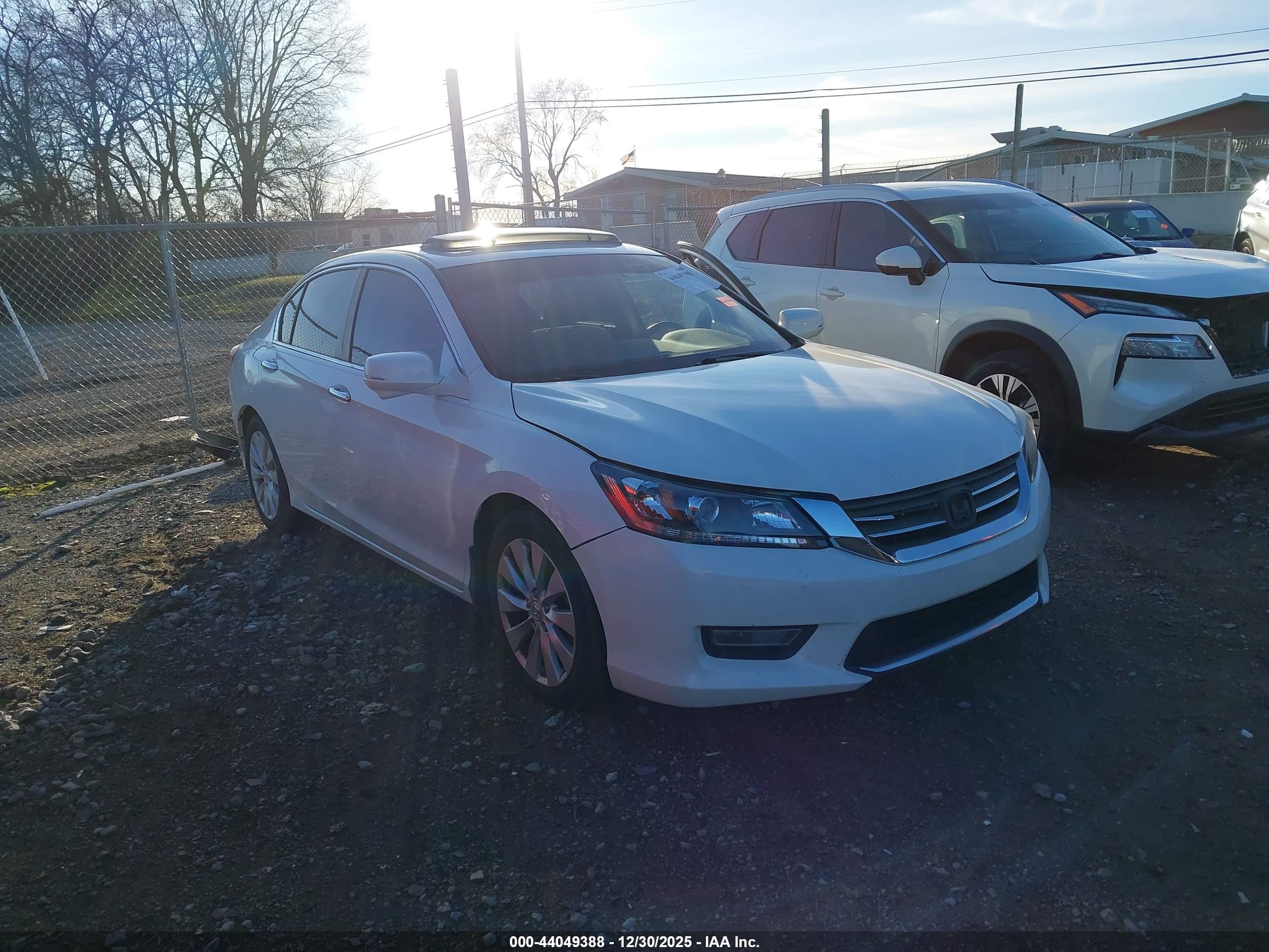 HONDA ACCORD image 6