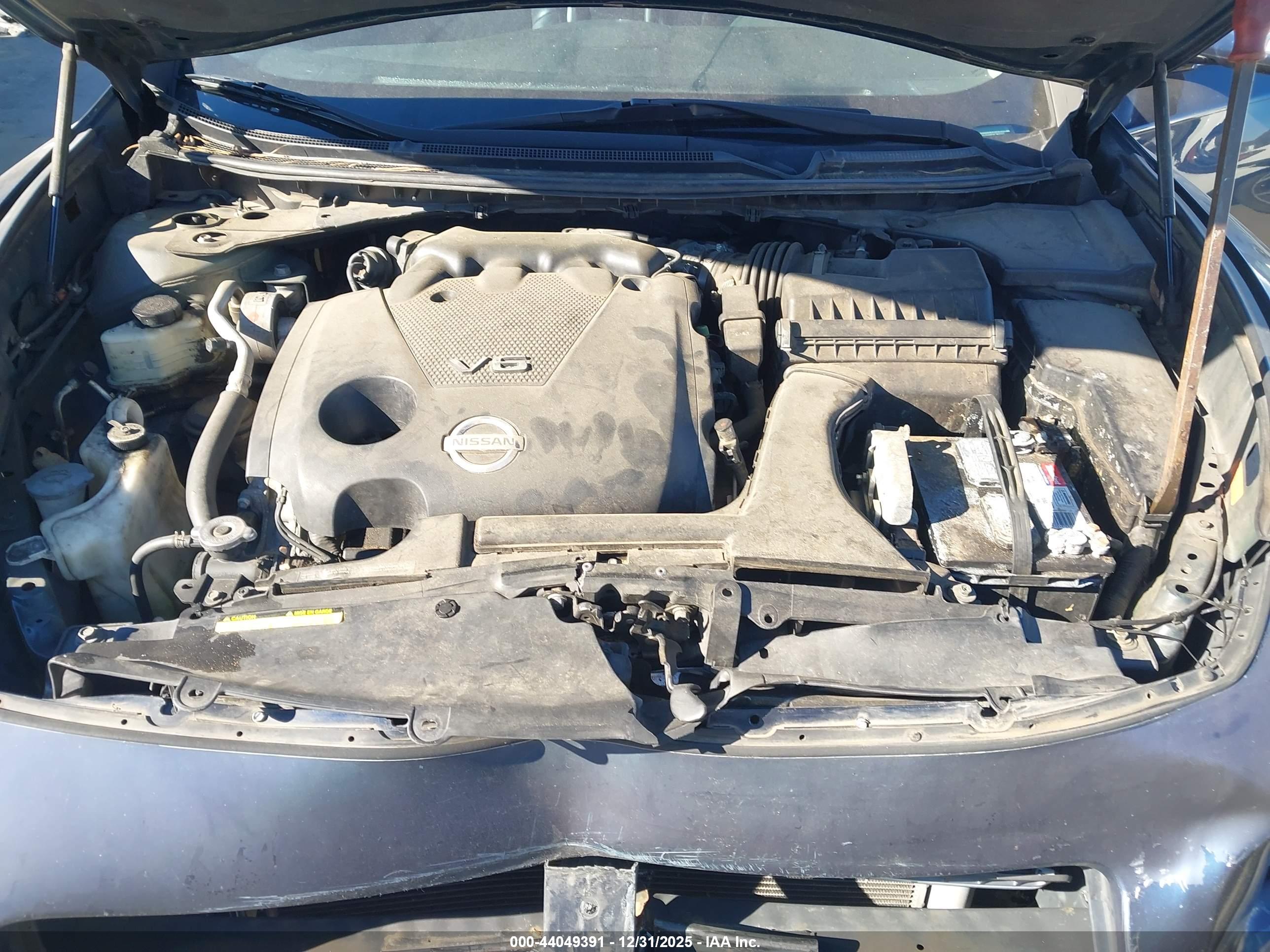 NISSAN MAXIMA image 10