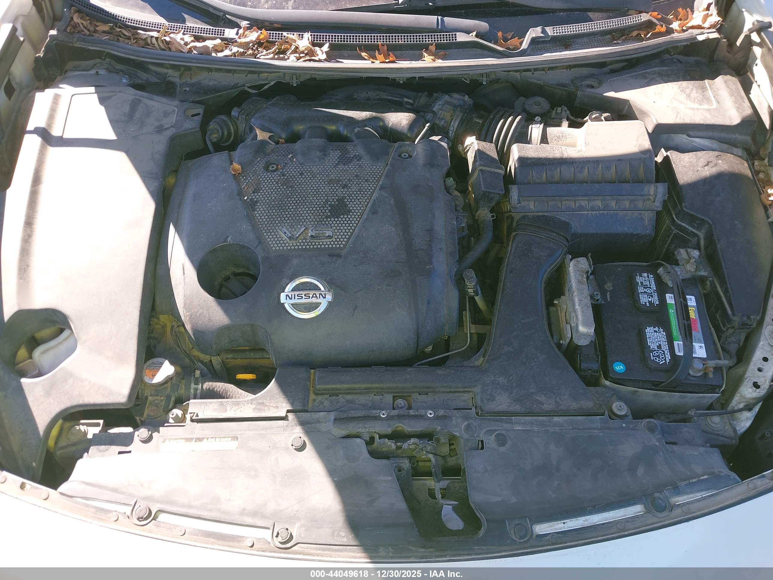 NISSAN MAXIMA image 10