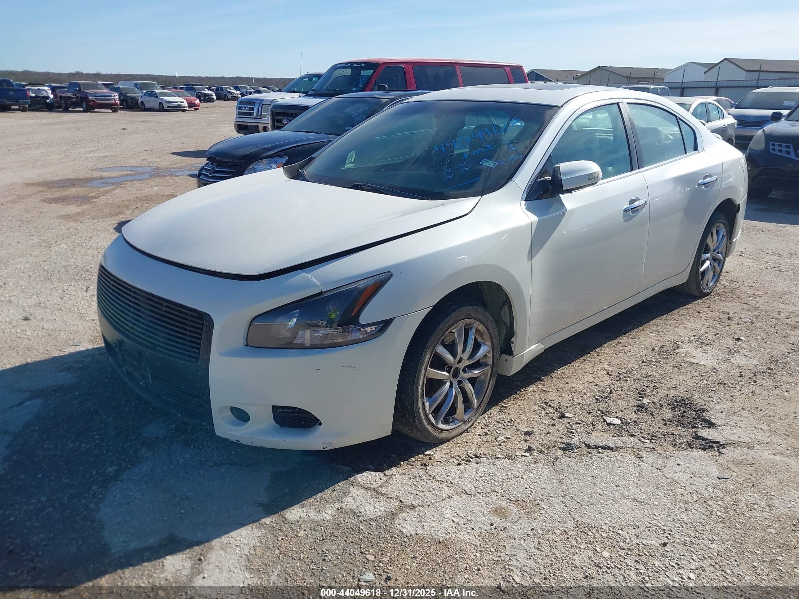 NISSAN MAXIMA image 2