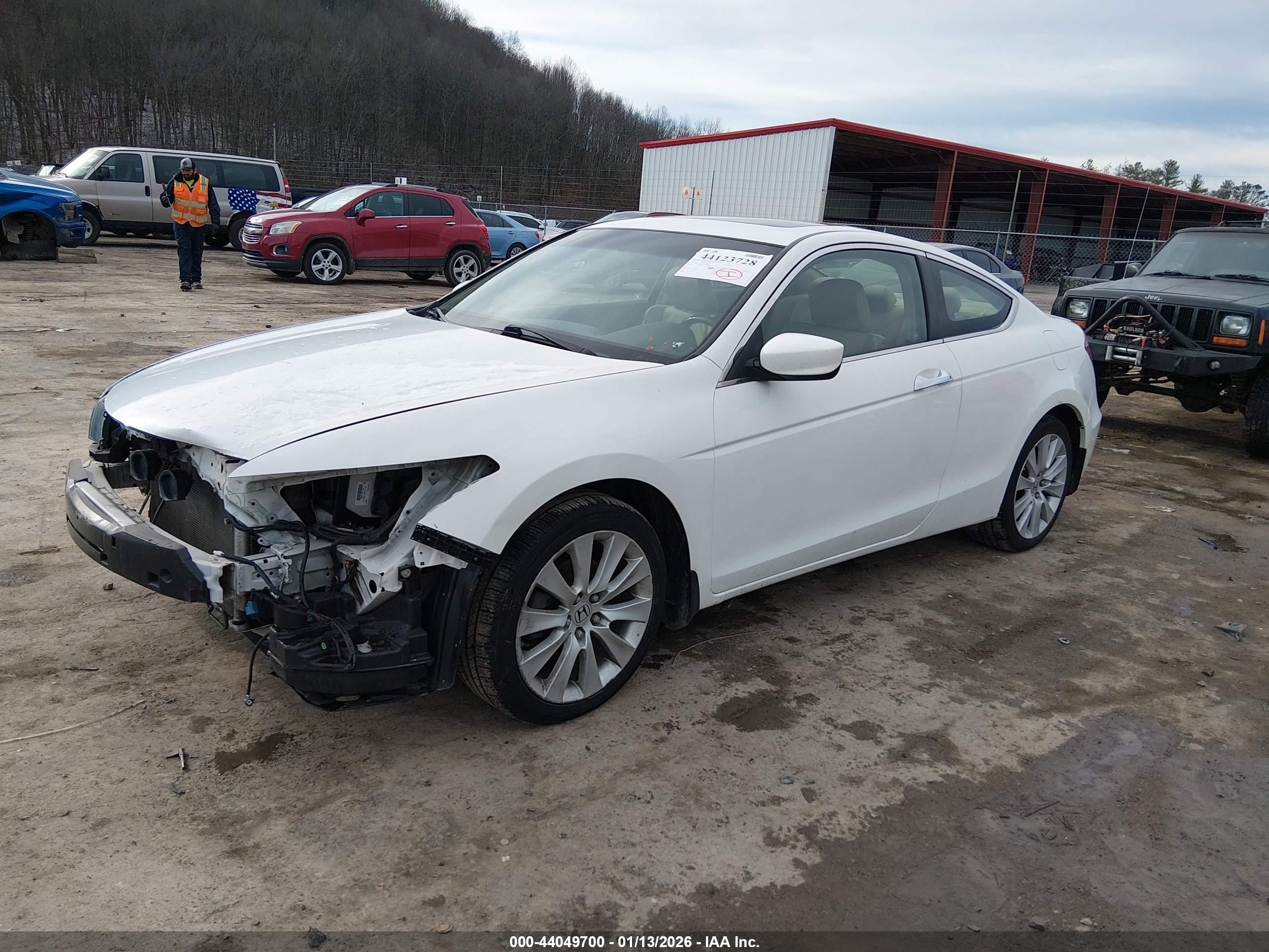 HONDA ACCORD image 2