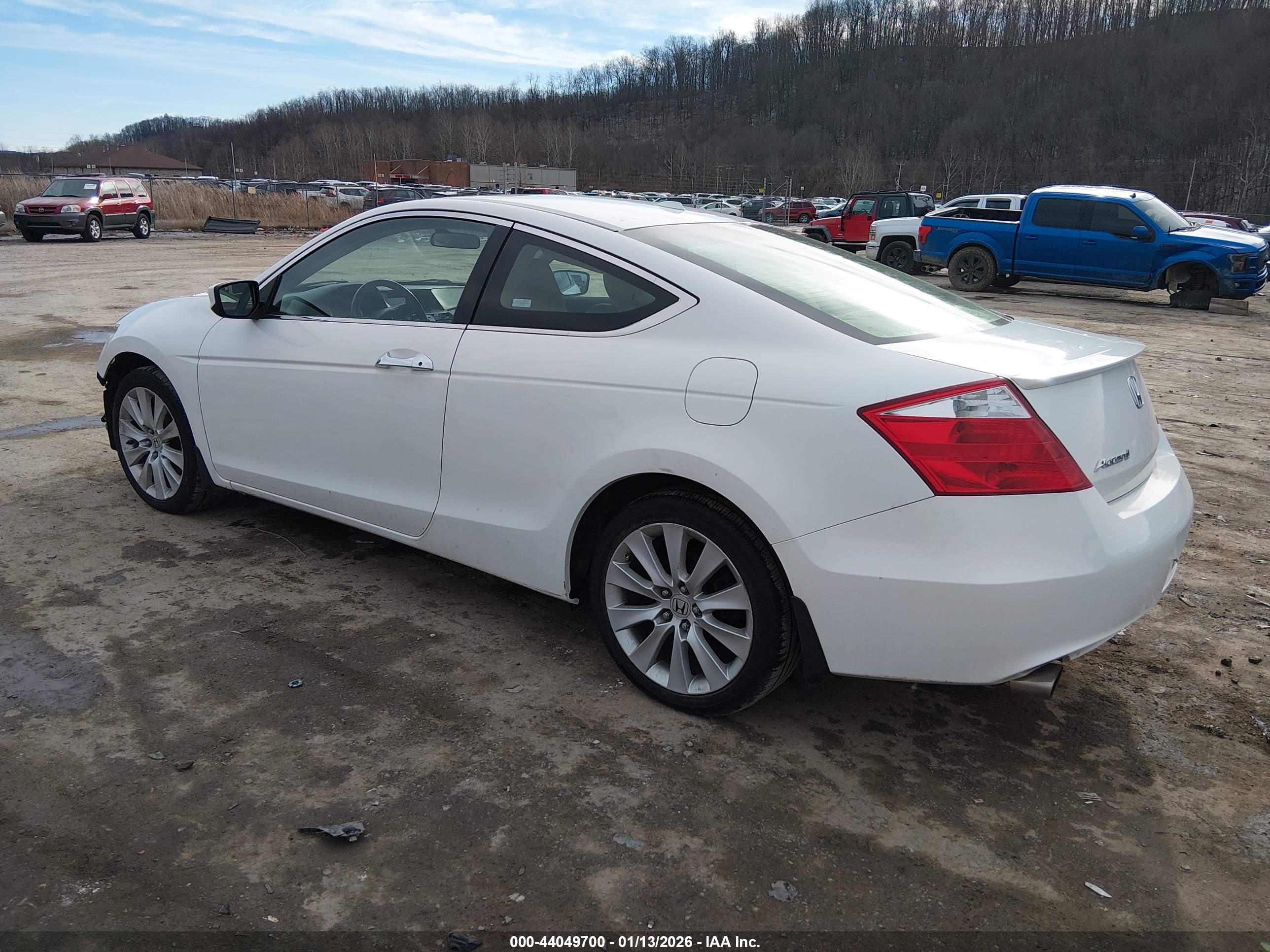HONDA ACCORD image 3
