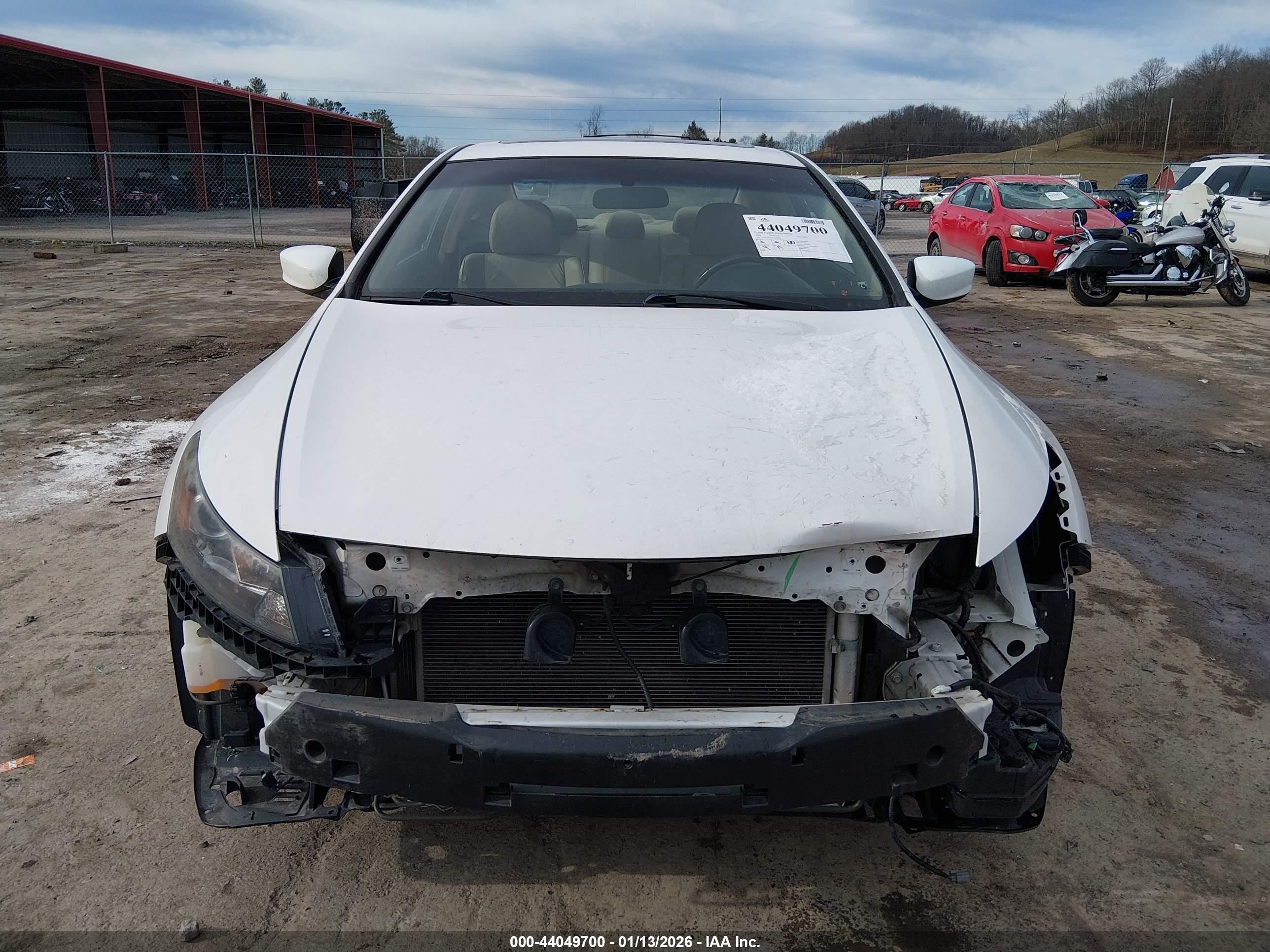 HONDA ACCORD image 6