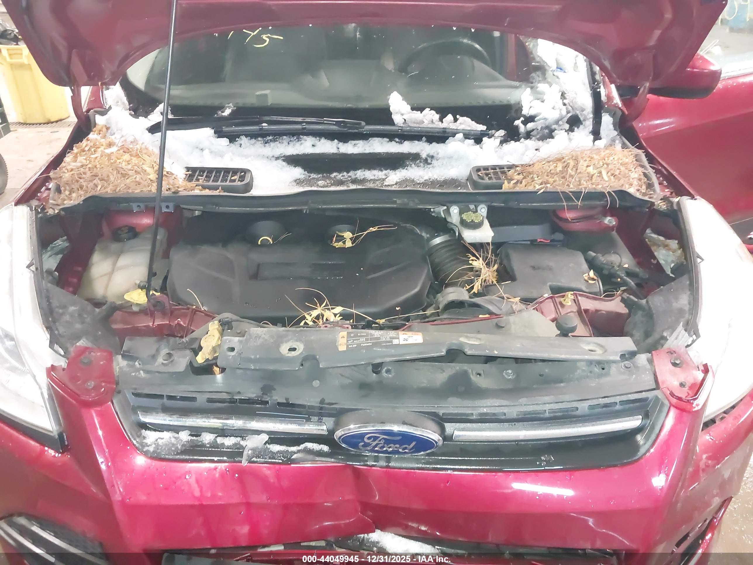 FORD ESCAPE image 10