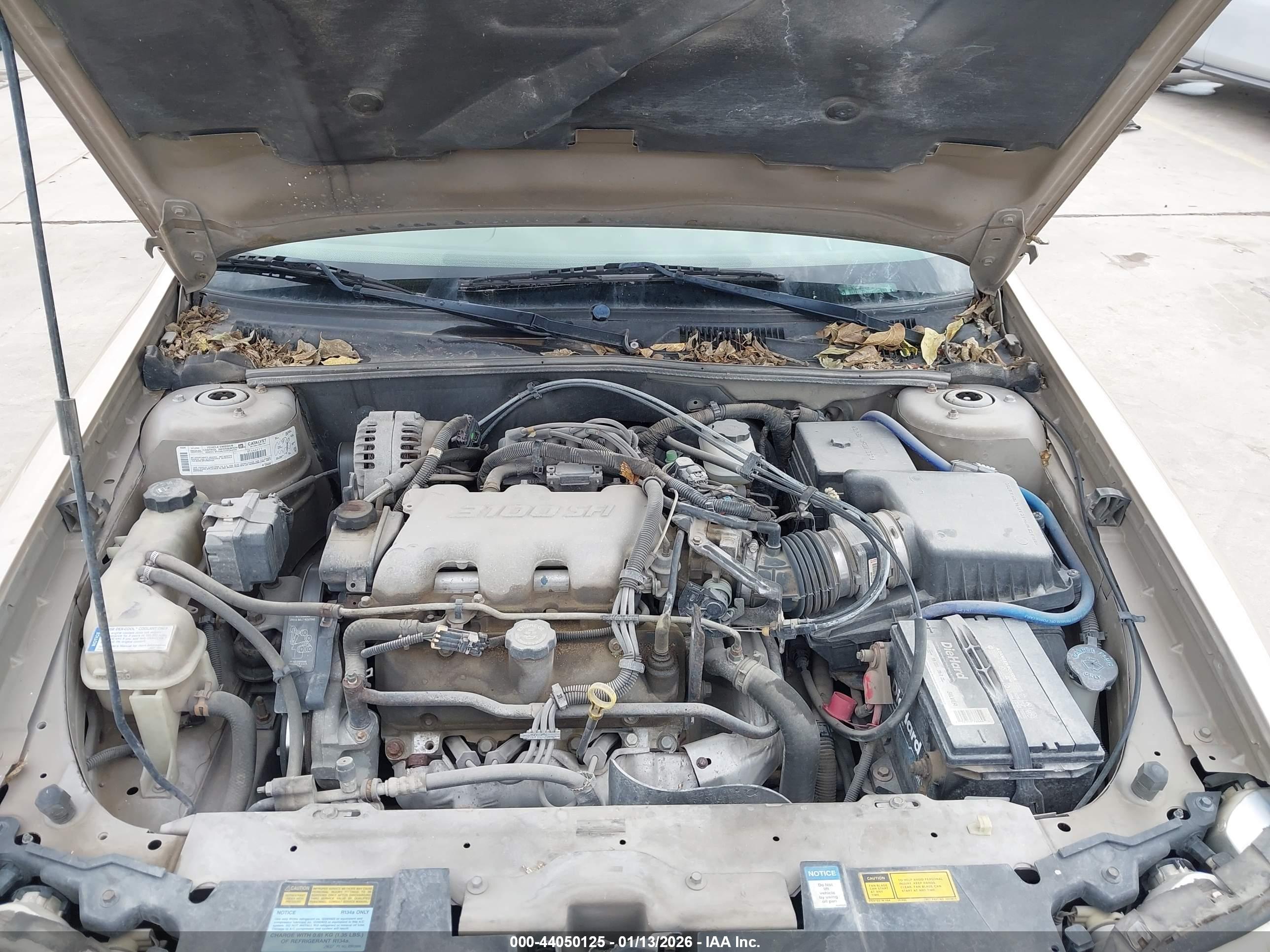 CHEVROLET MALIBU image 10