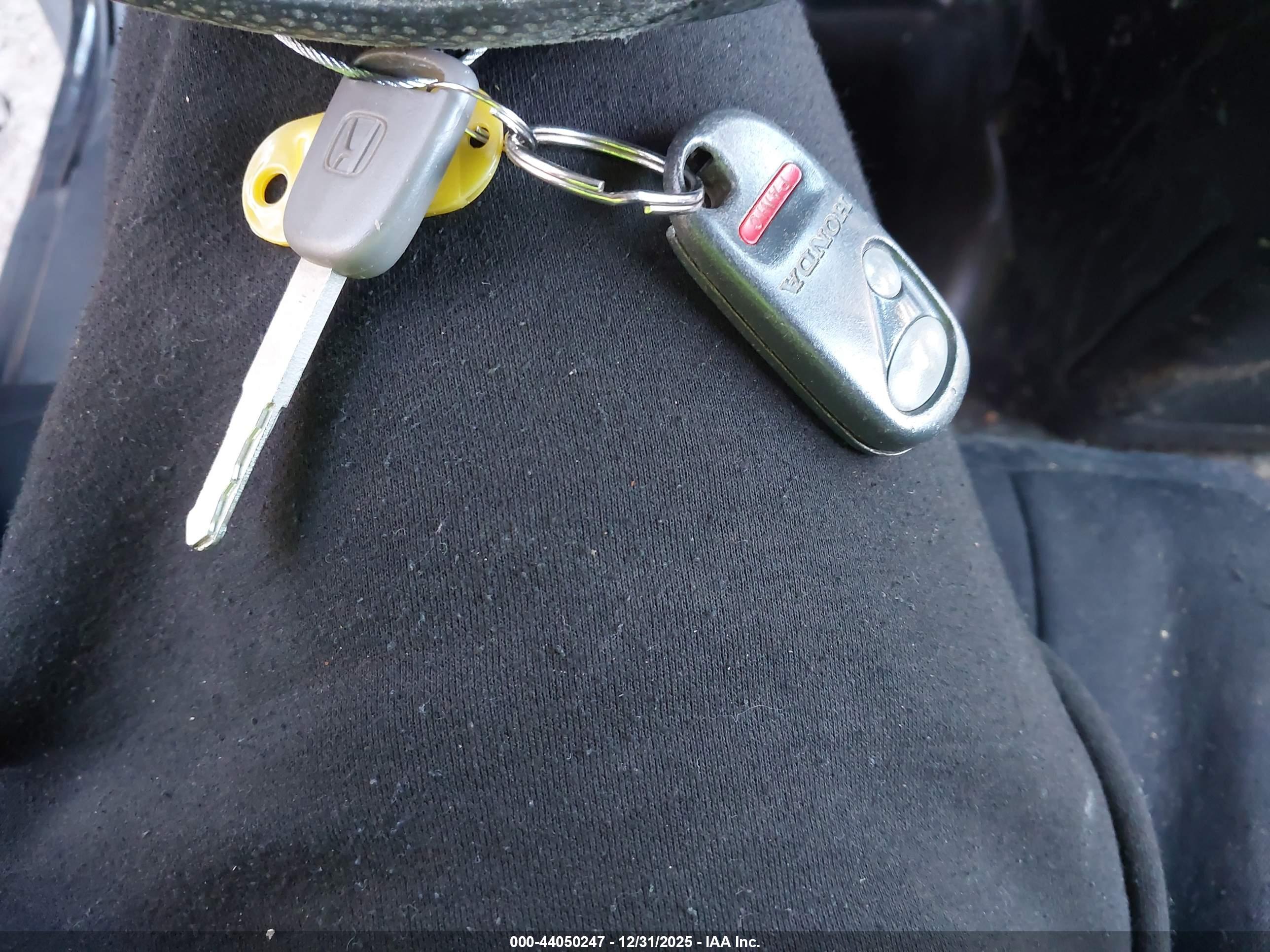 HONDA ELEMENT image 11