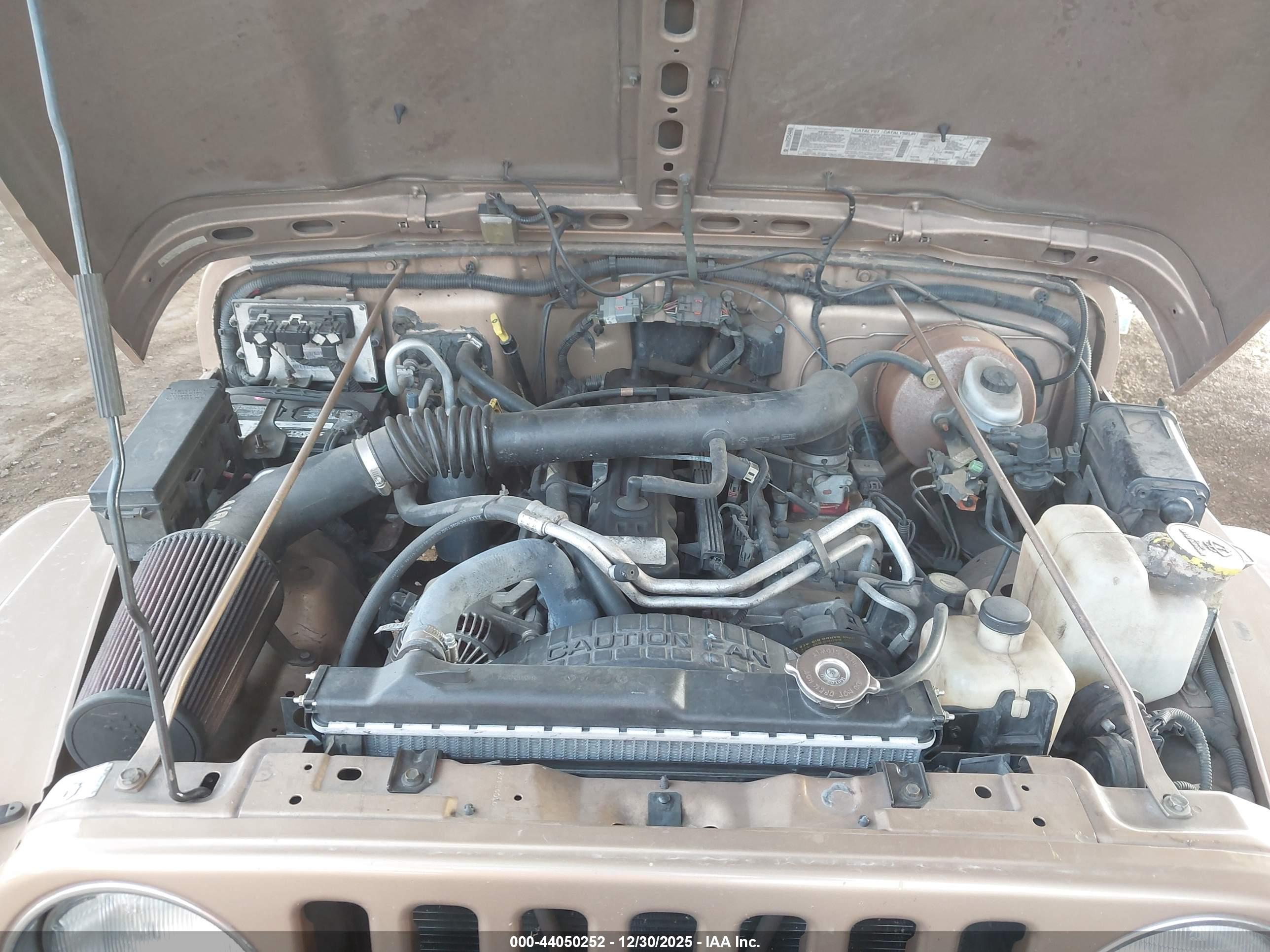 JEEP WRANGLER image 10