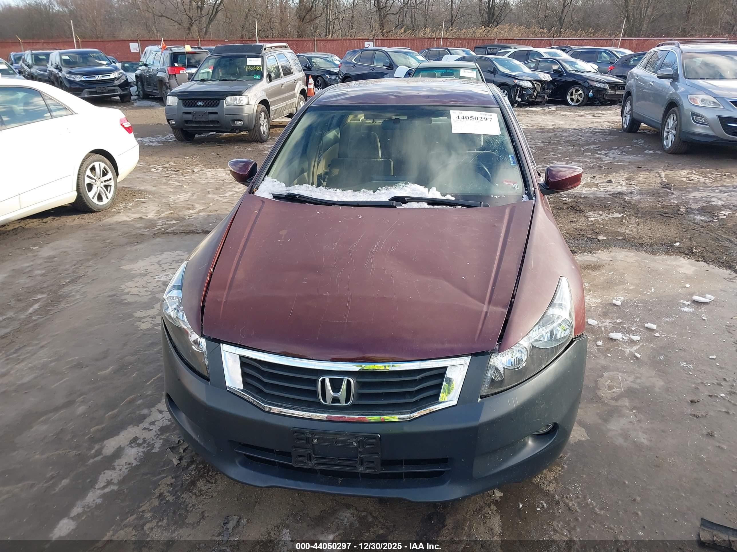 HONDA ACCORD image 6