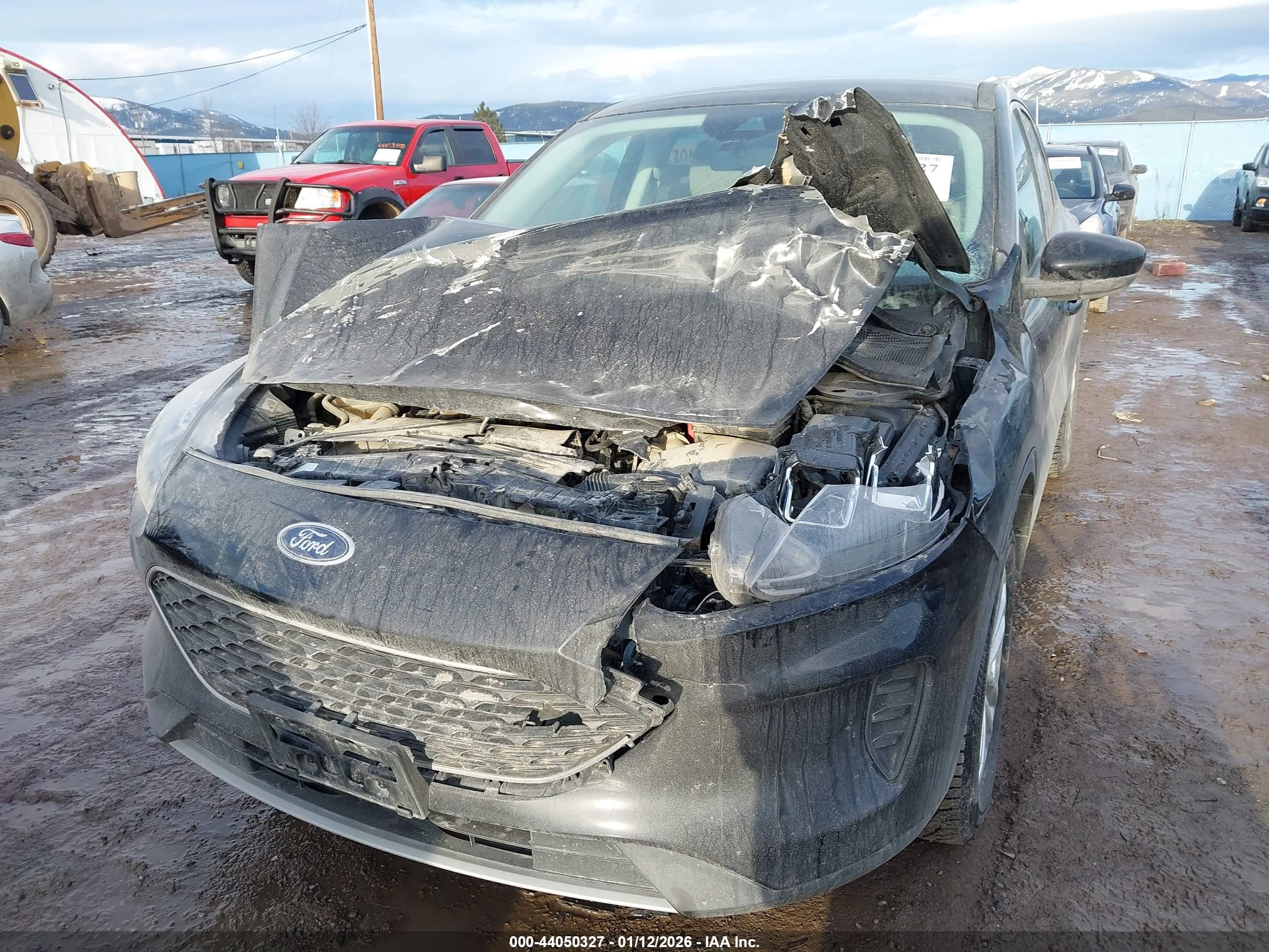 FORD ESCAPE image 6