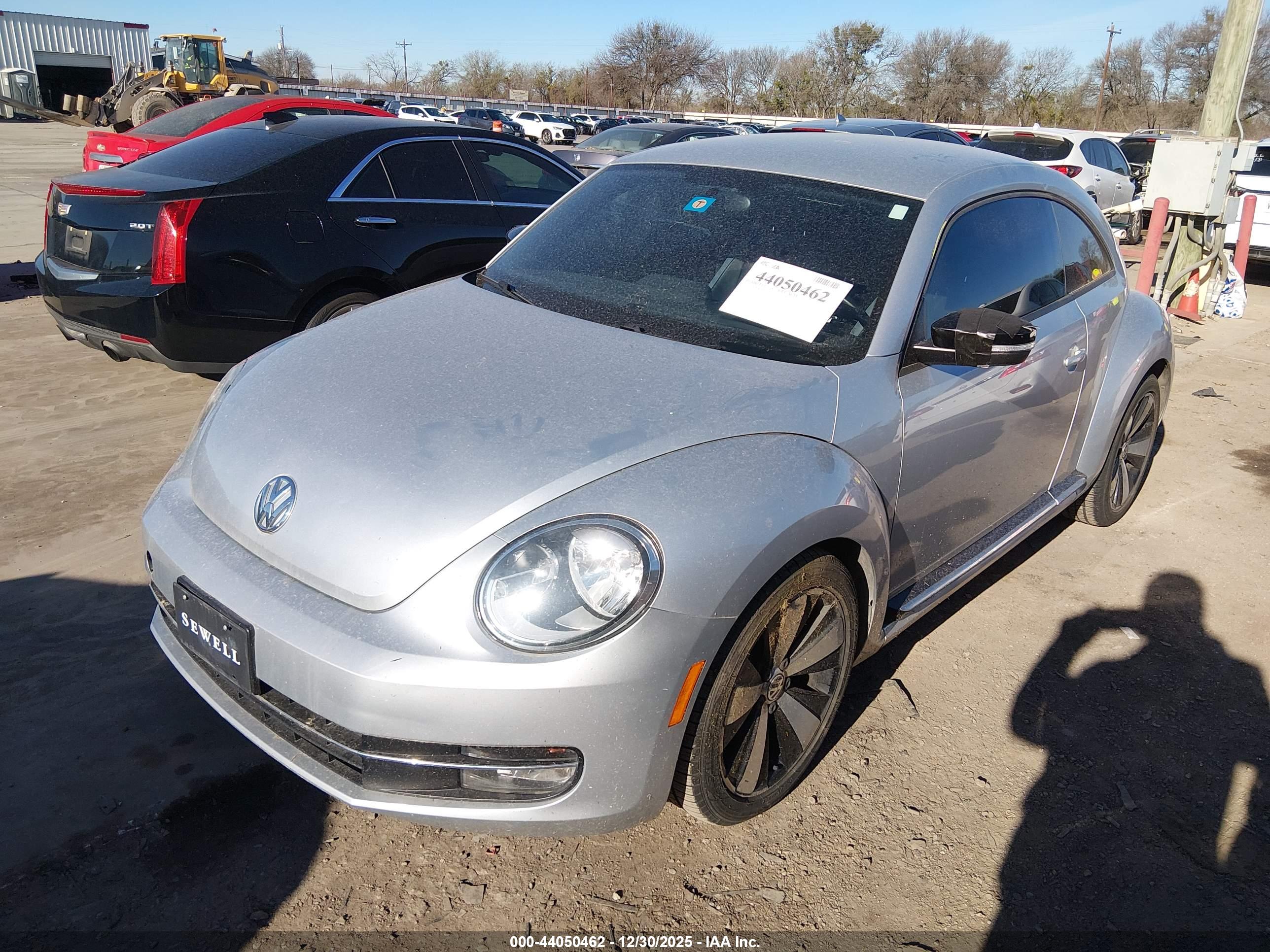 VOLKSWAGEN BEETLE image 2
