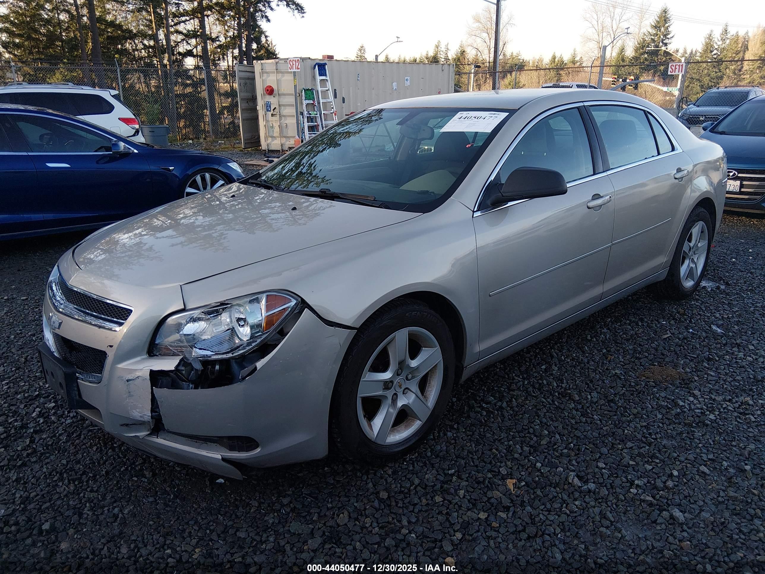 CHEVROLET MALIBU image 2